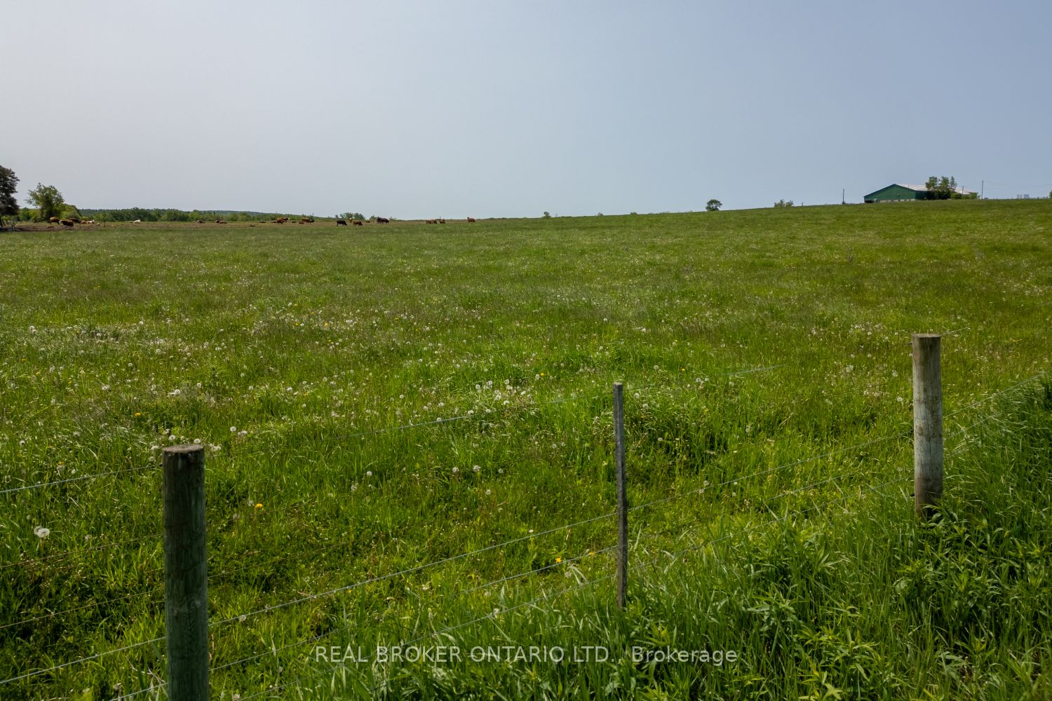 Pt Lt 22 Con 3 Cavan Pt 1 N/a Property Photo 10