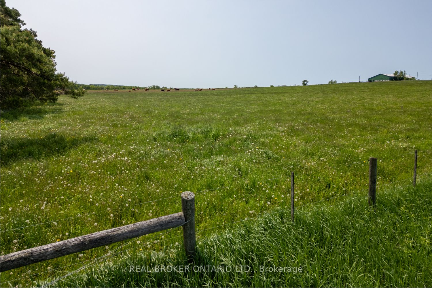 Pt Lt 22 Con 3 Cavan Pt 1 N/a Property Photo 13