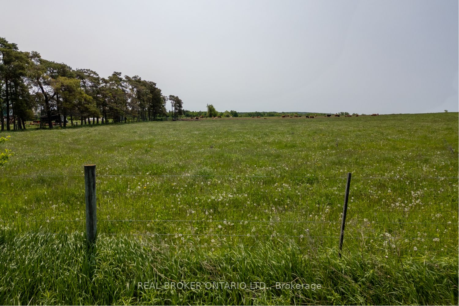 Pt Lt 22 Con 3 Cavan Pt 1 N/a Property Photo 14