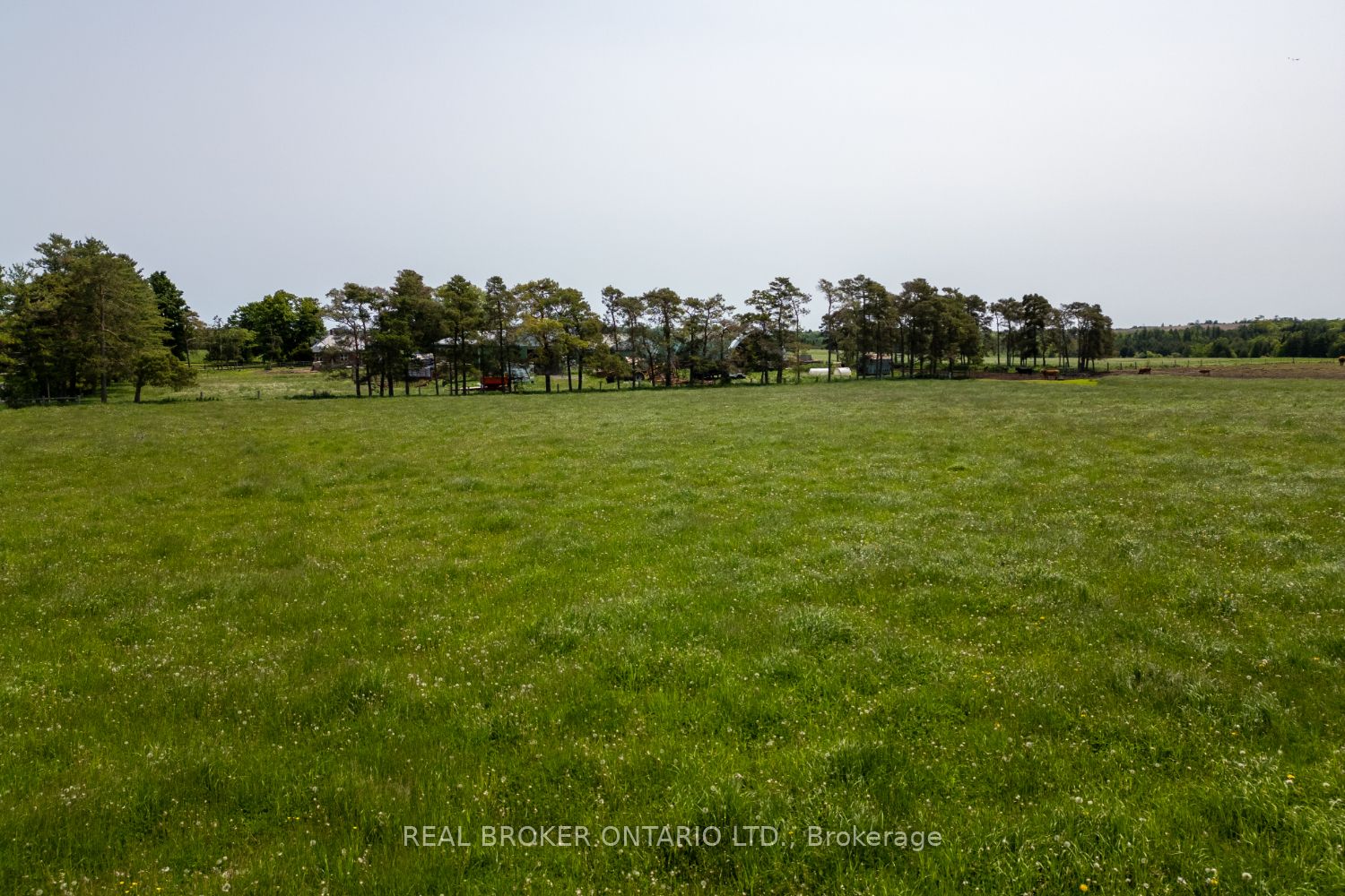 Pt Lt 22 Con 3 Cavan Pt 1 N/a Property Photo 16