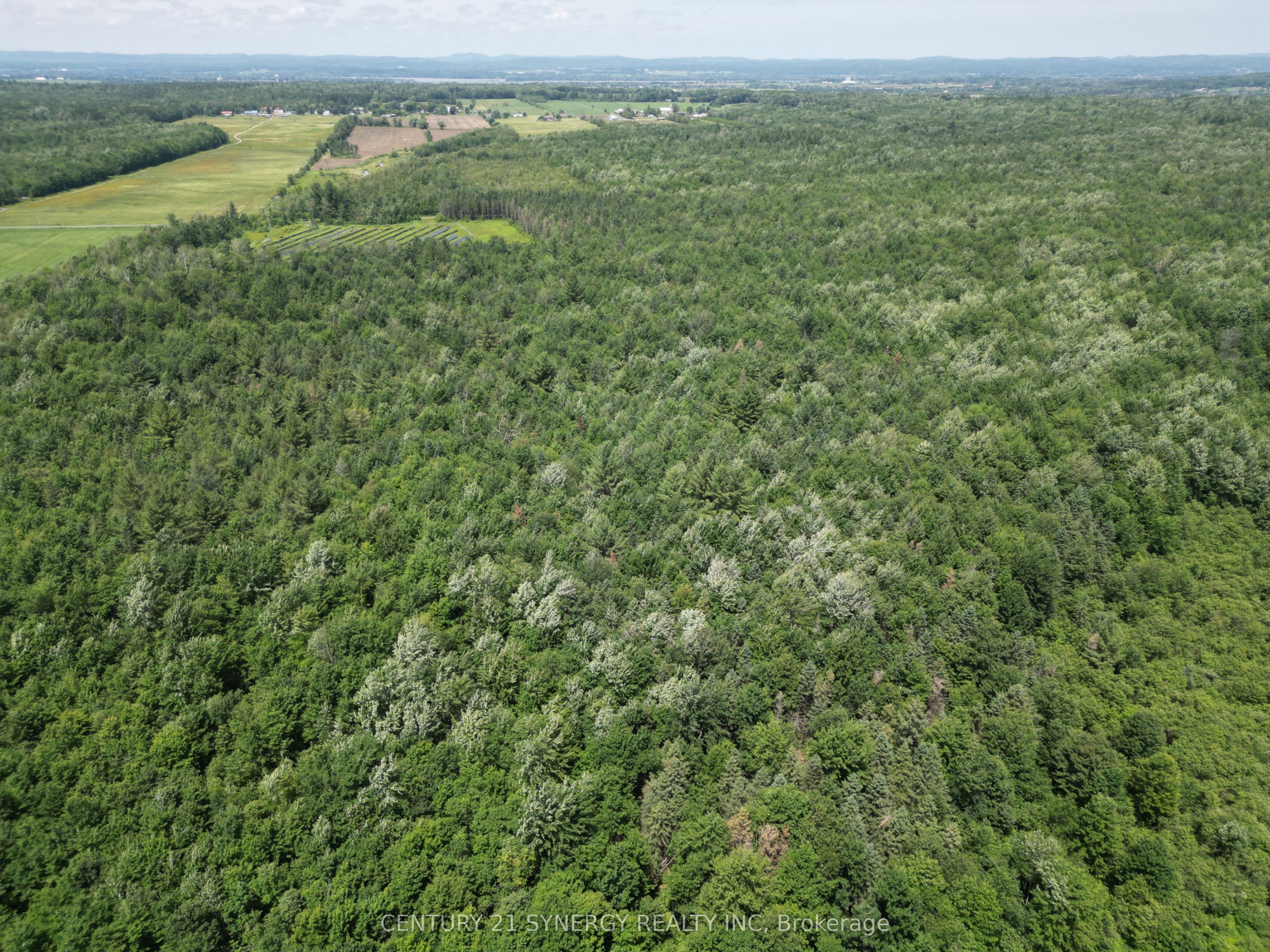 00 Concession 4 Road Property Photo 9