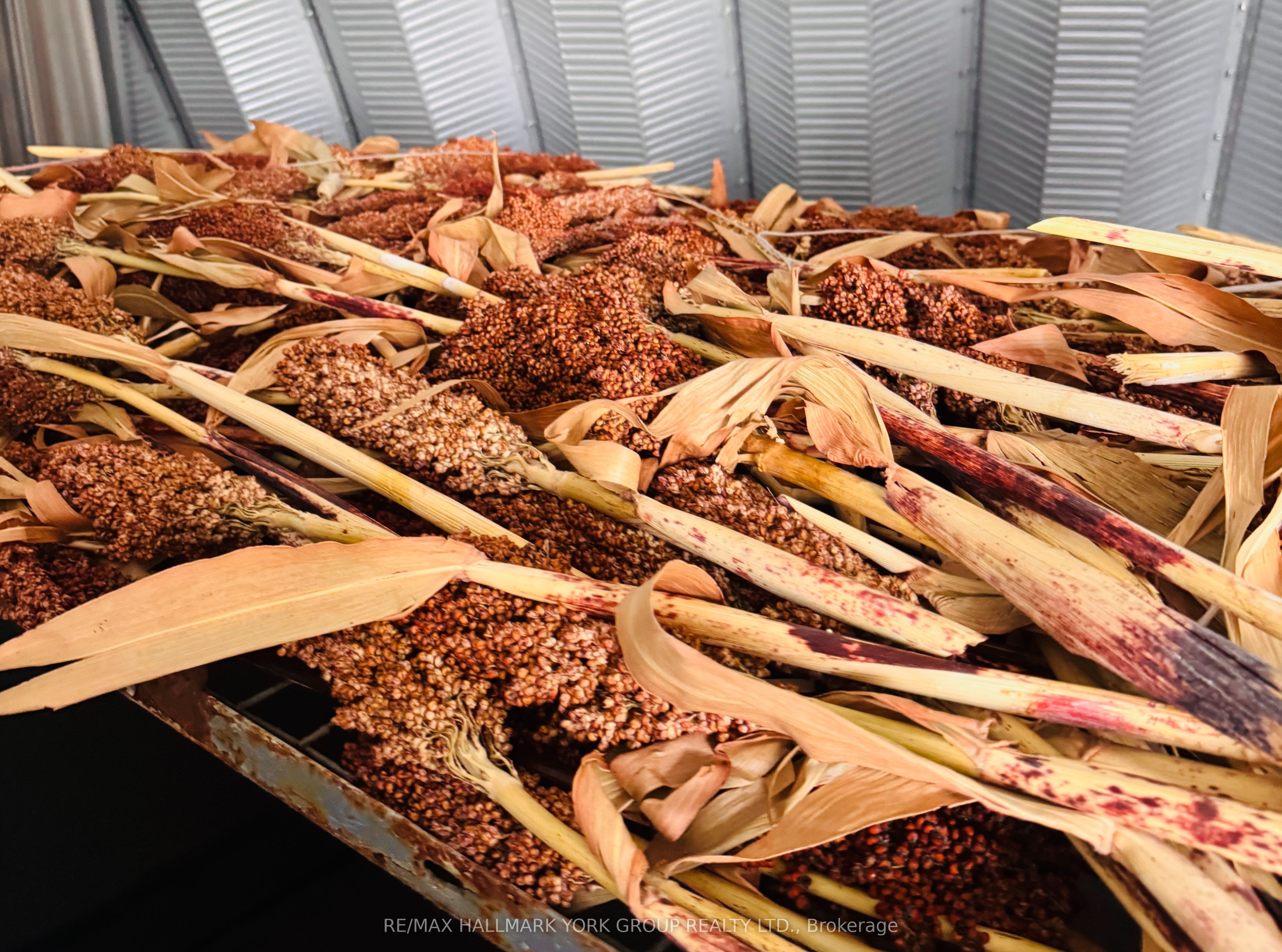 1616 Highway 3 Highway E Property Photo 11