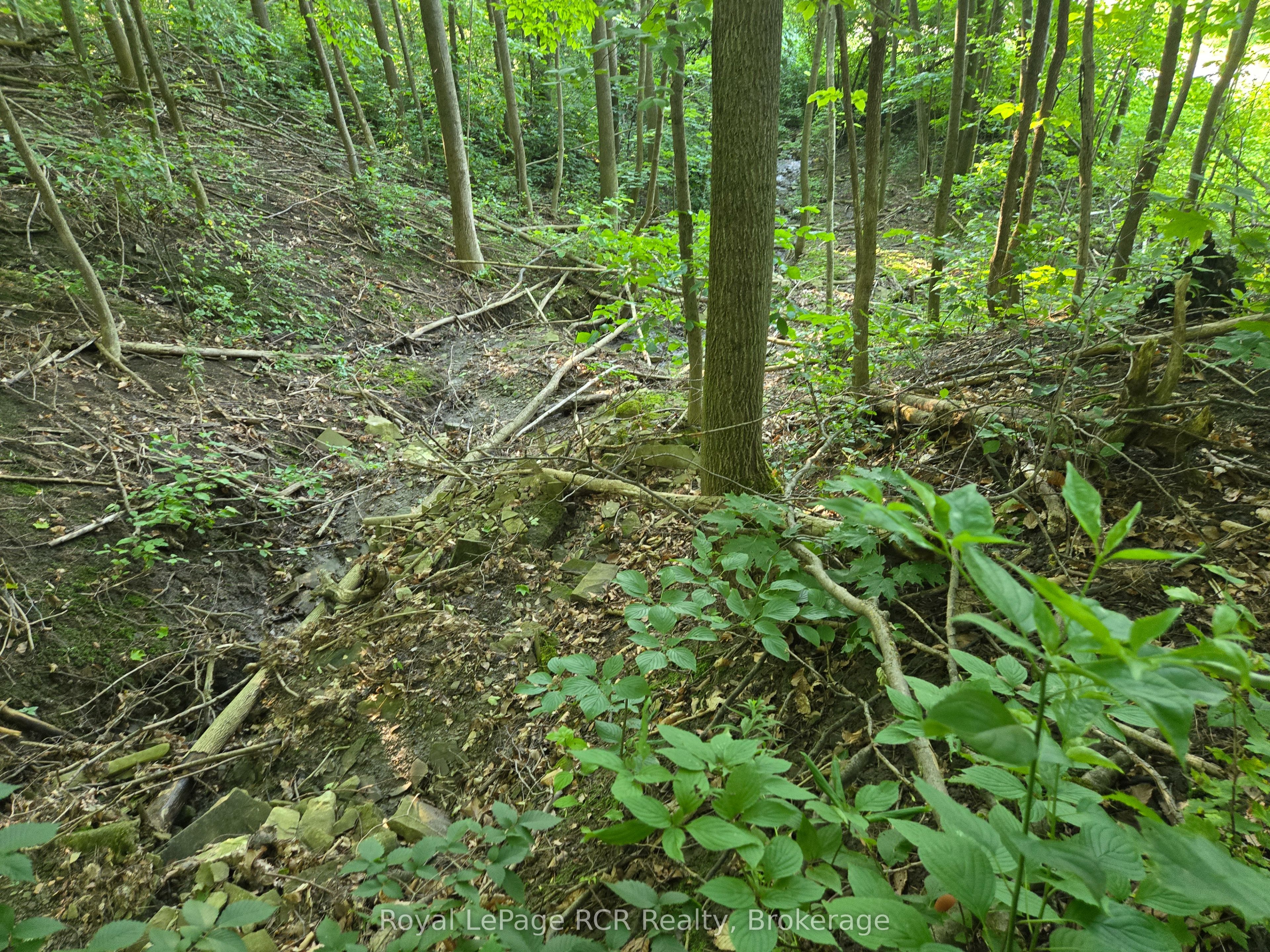 126 Old Highway 26 Highway Property Photo 6