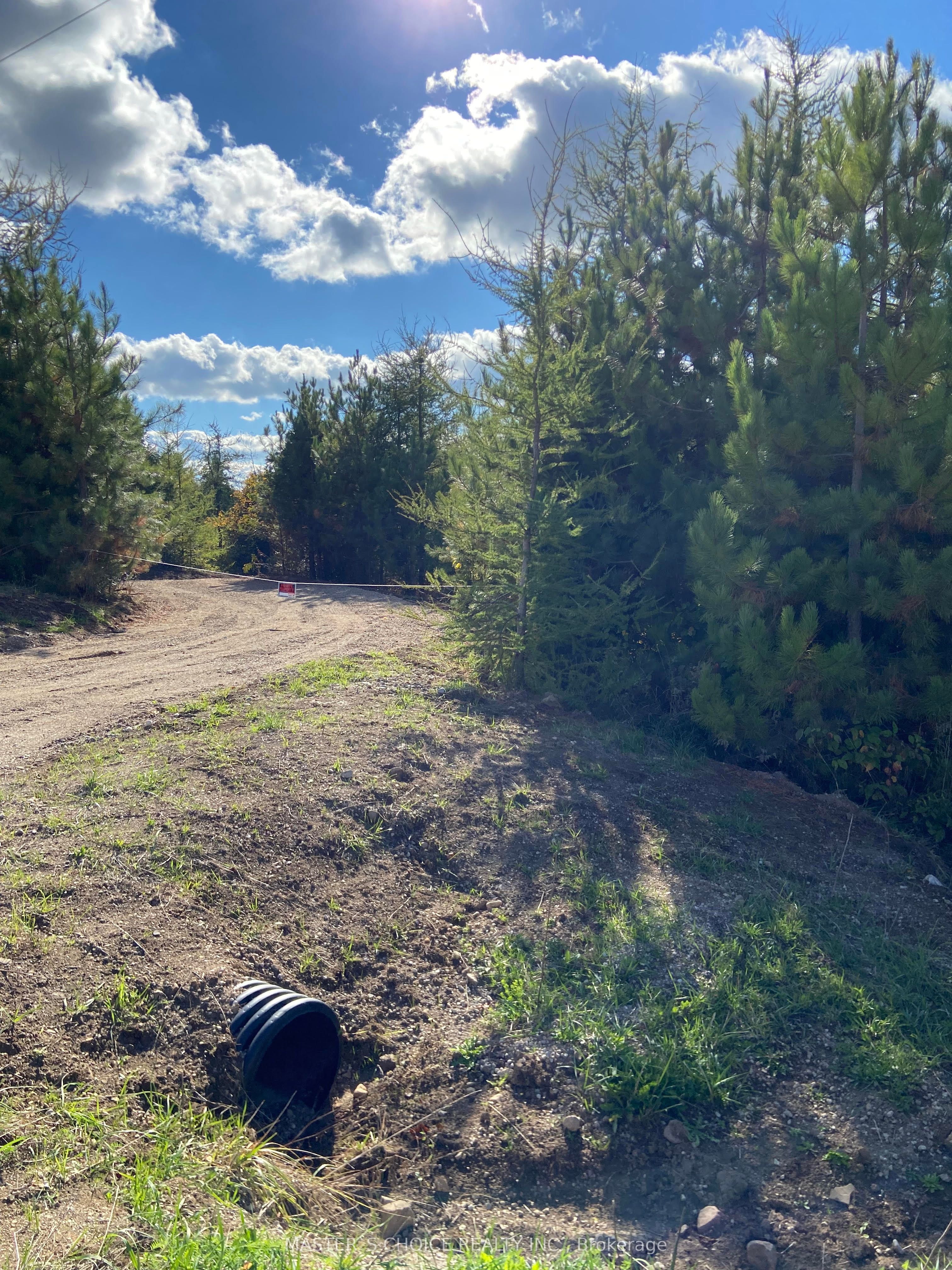 793560 124 Grey Highlands Road Property Photo 3