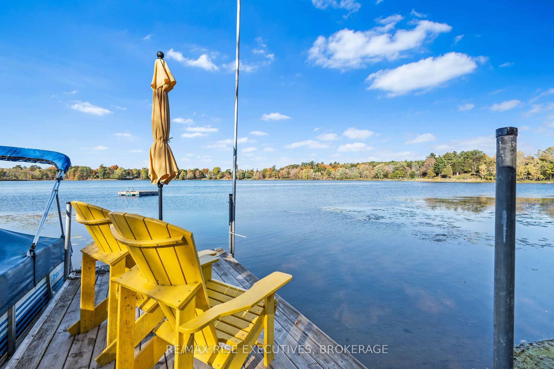 465k Lyndhurst Road Property Photo 29
