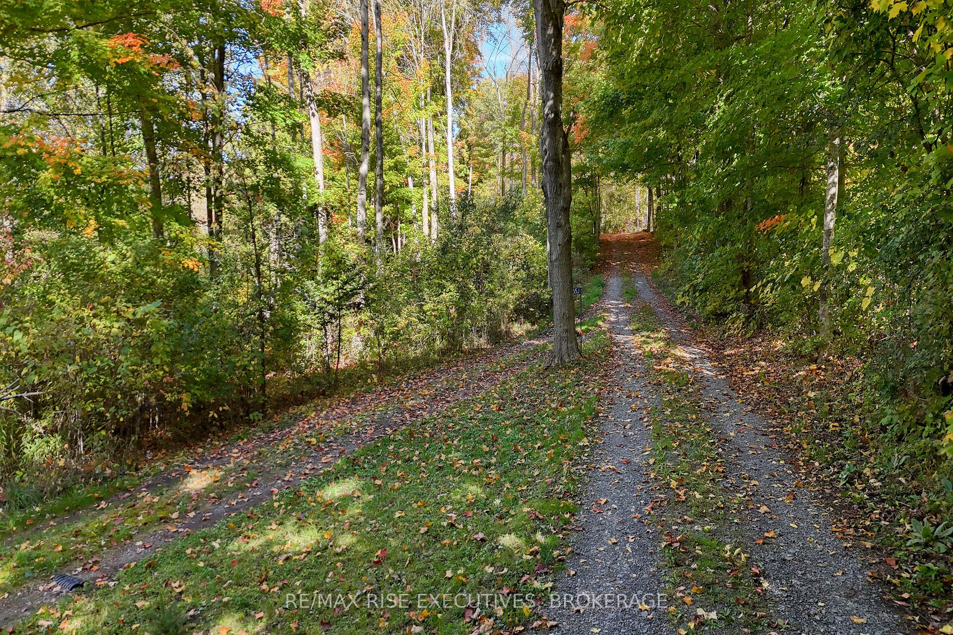 465k Lyndhurst Road Property Photo 43