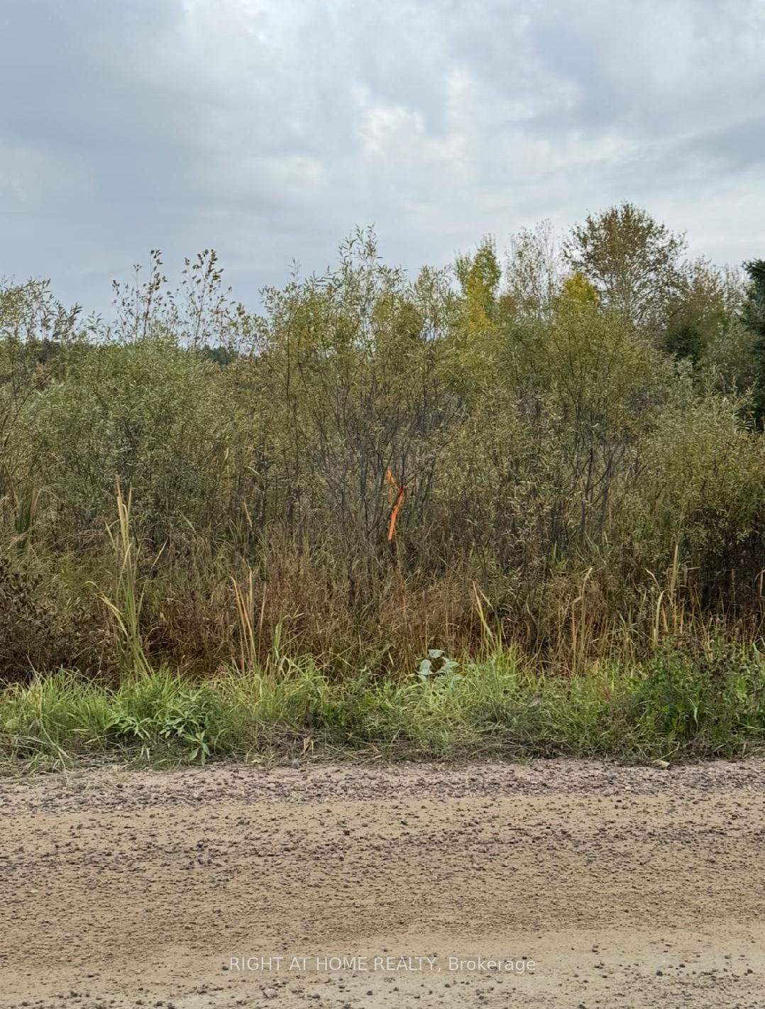 Pt 3&4 Levert Drive Property Photo 11