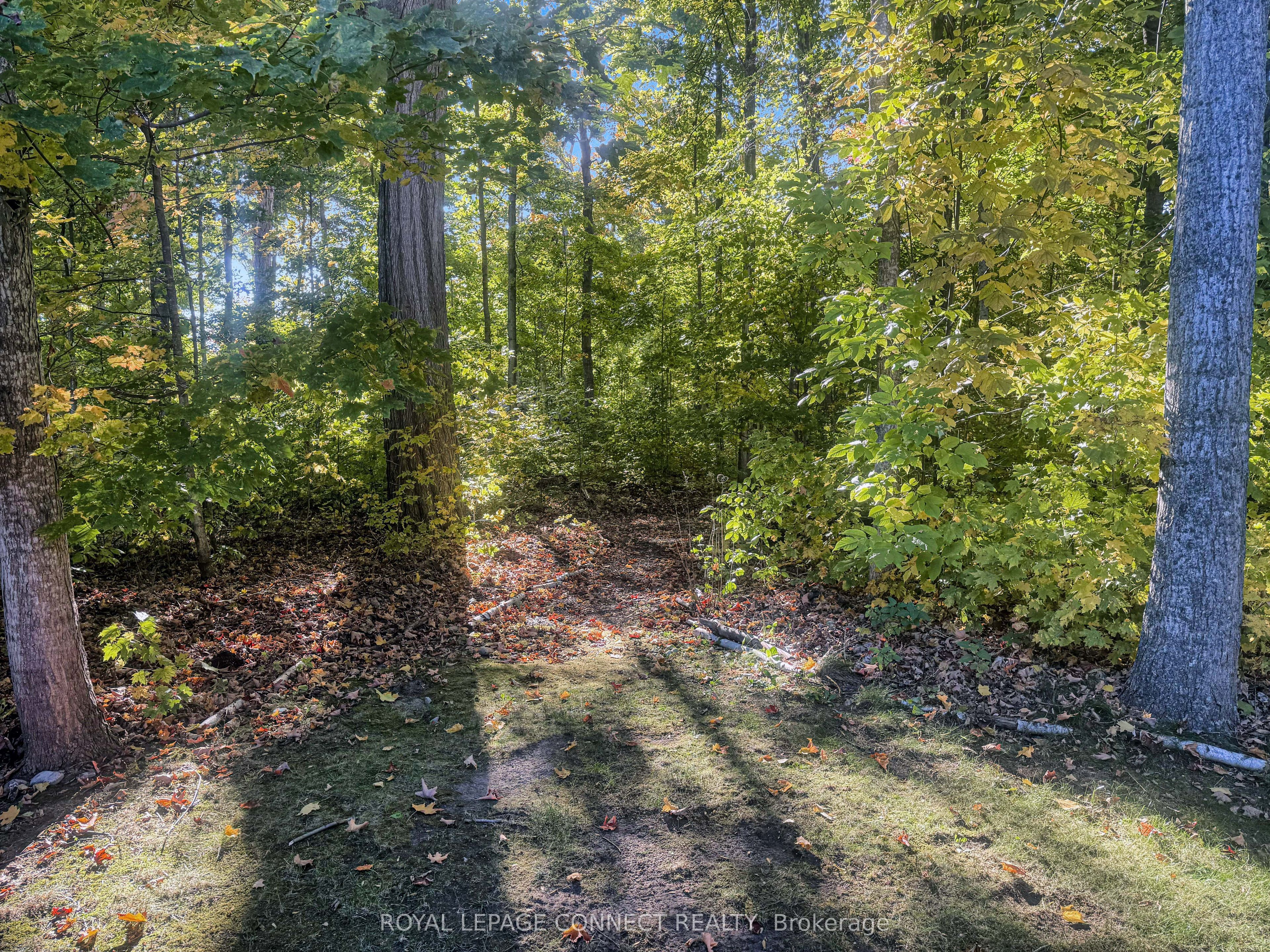 36 Hollow Lane 201 Property Photo 7