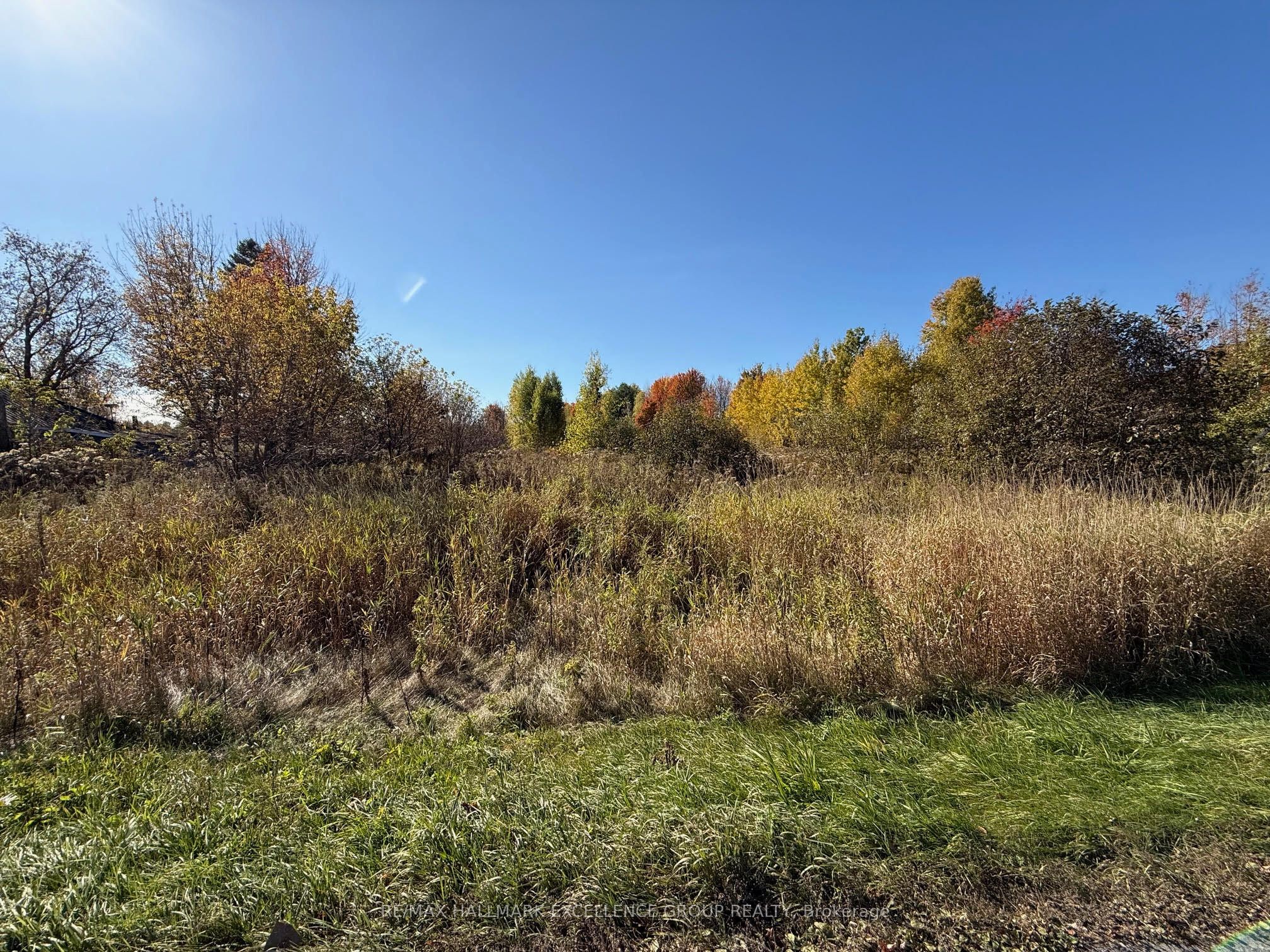 00 Limoges Road Property Photo 3