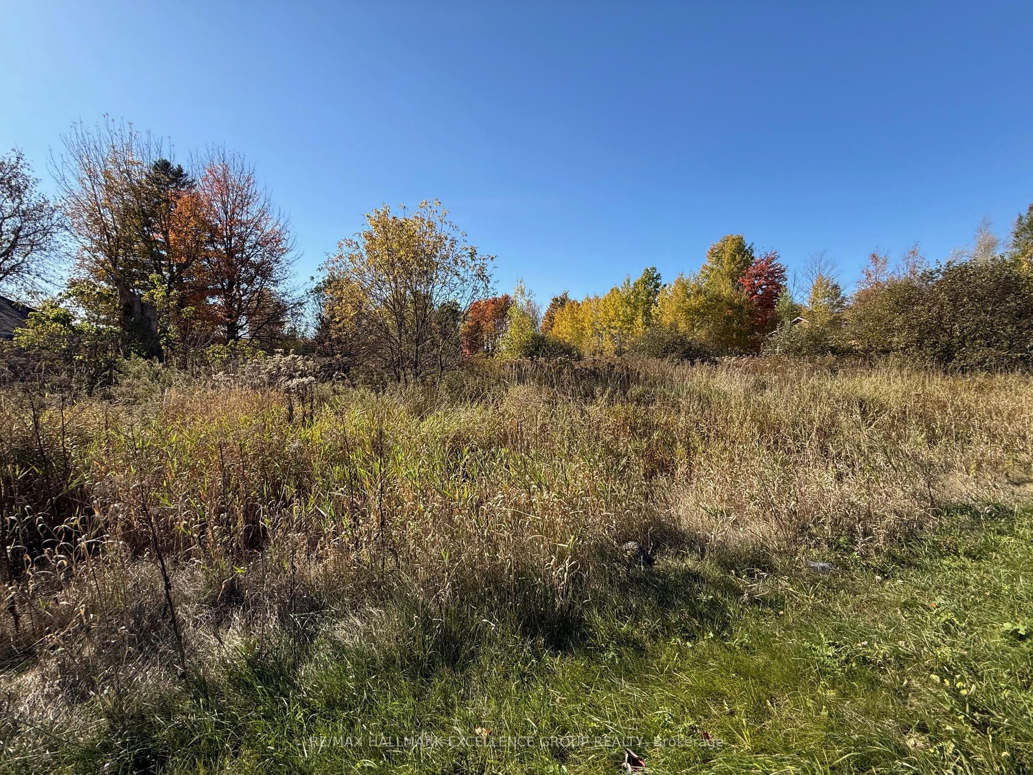 00 Limoges Road Property Photo 4