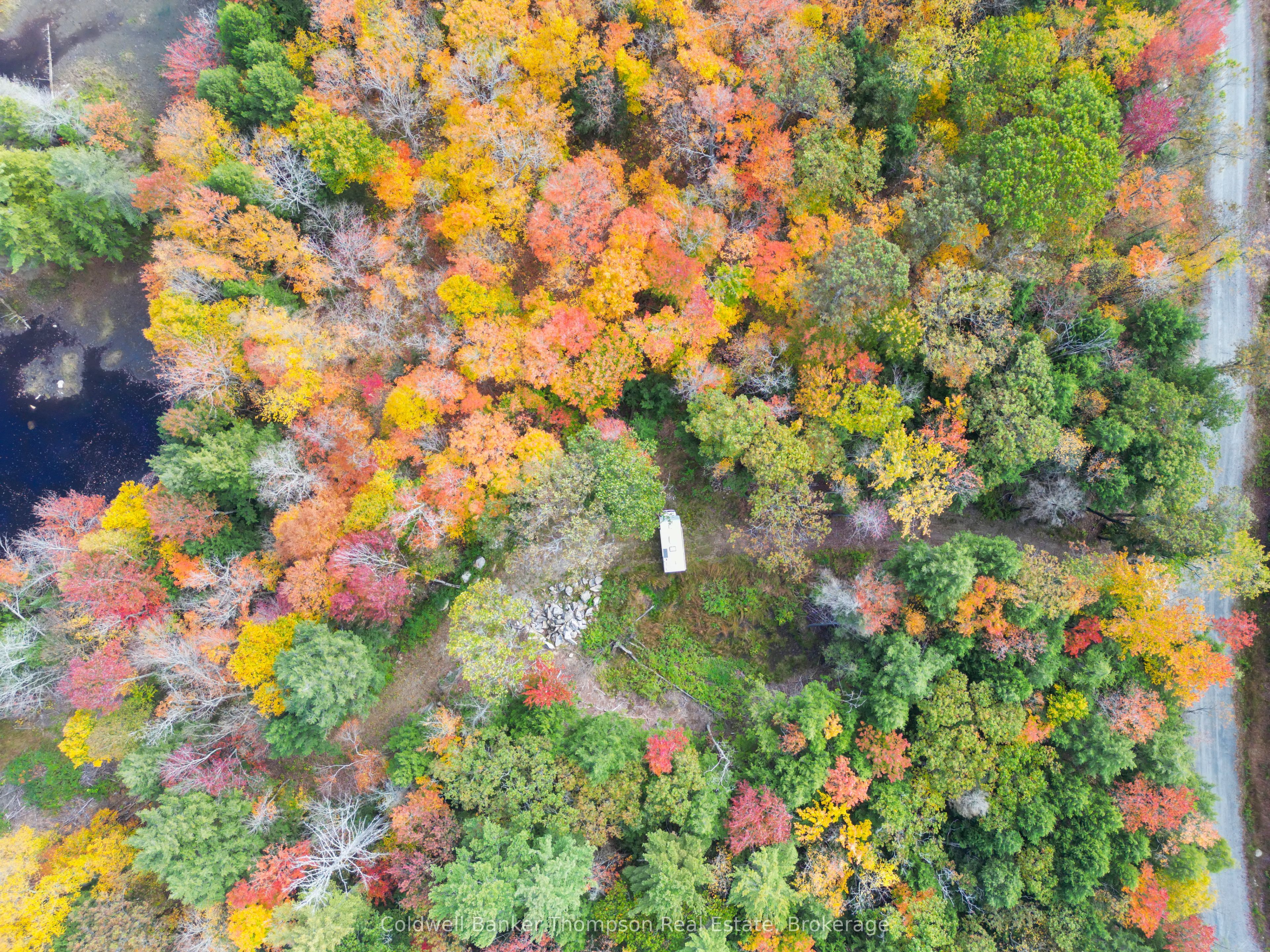 89 Lake Haven Dr Property Photo 10