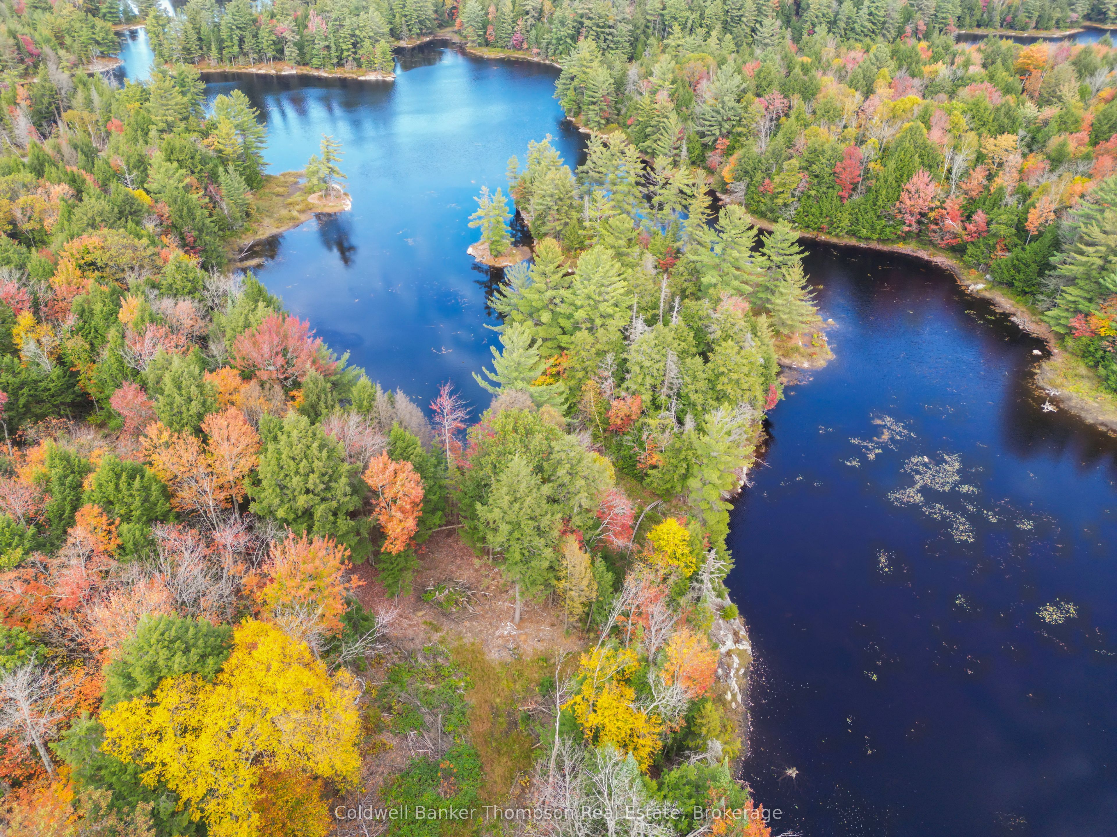 89 Lake Haven Dr Property Photo 12