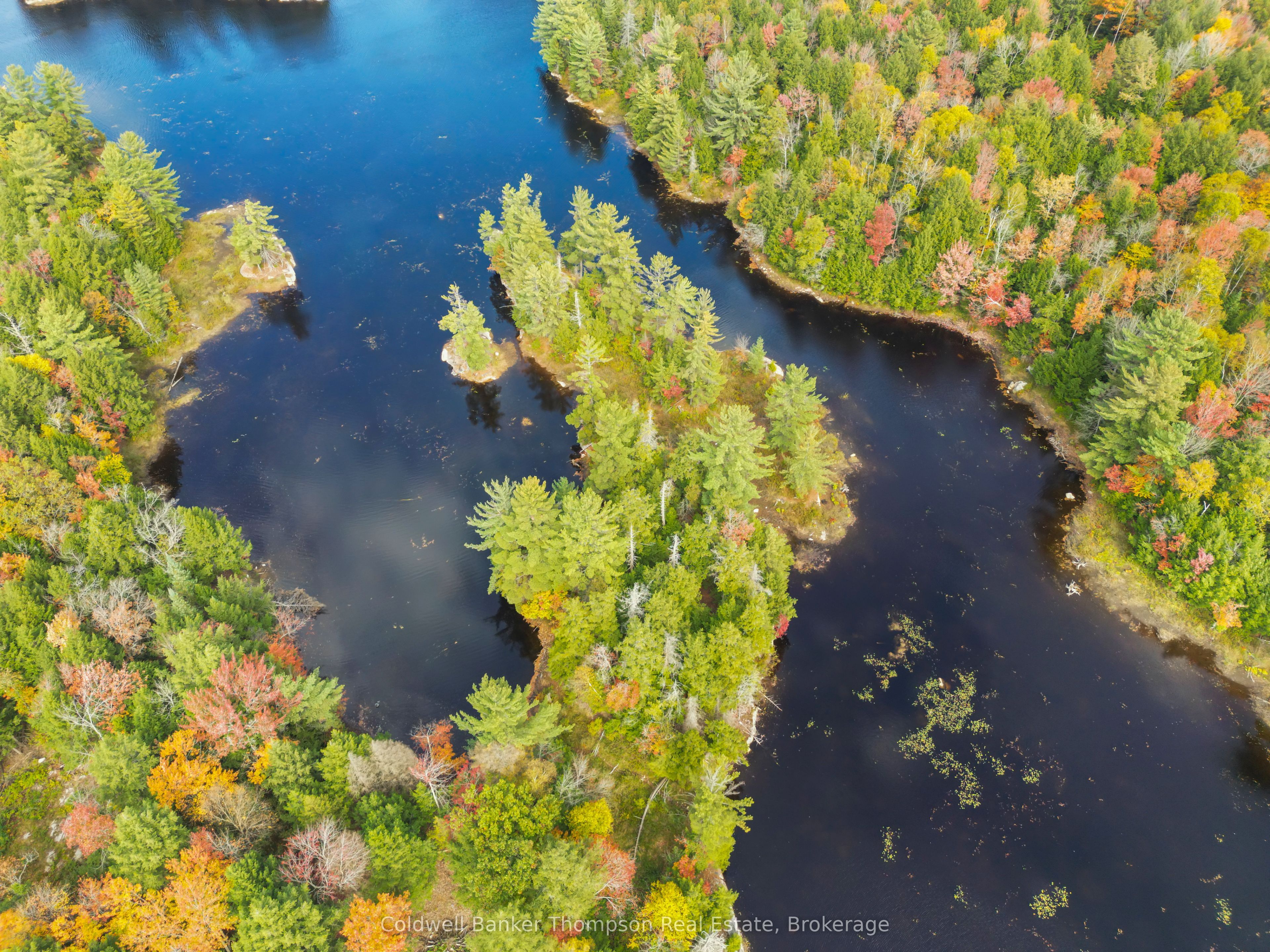 89 Lake Haven Dr Property Photo 13