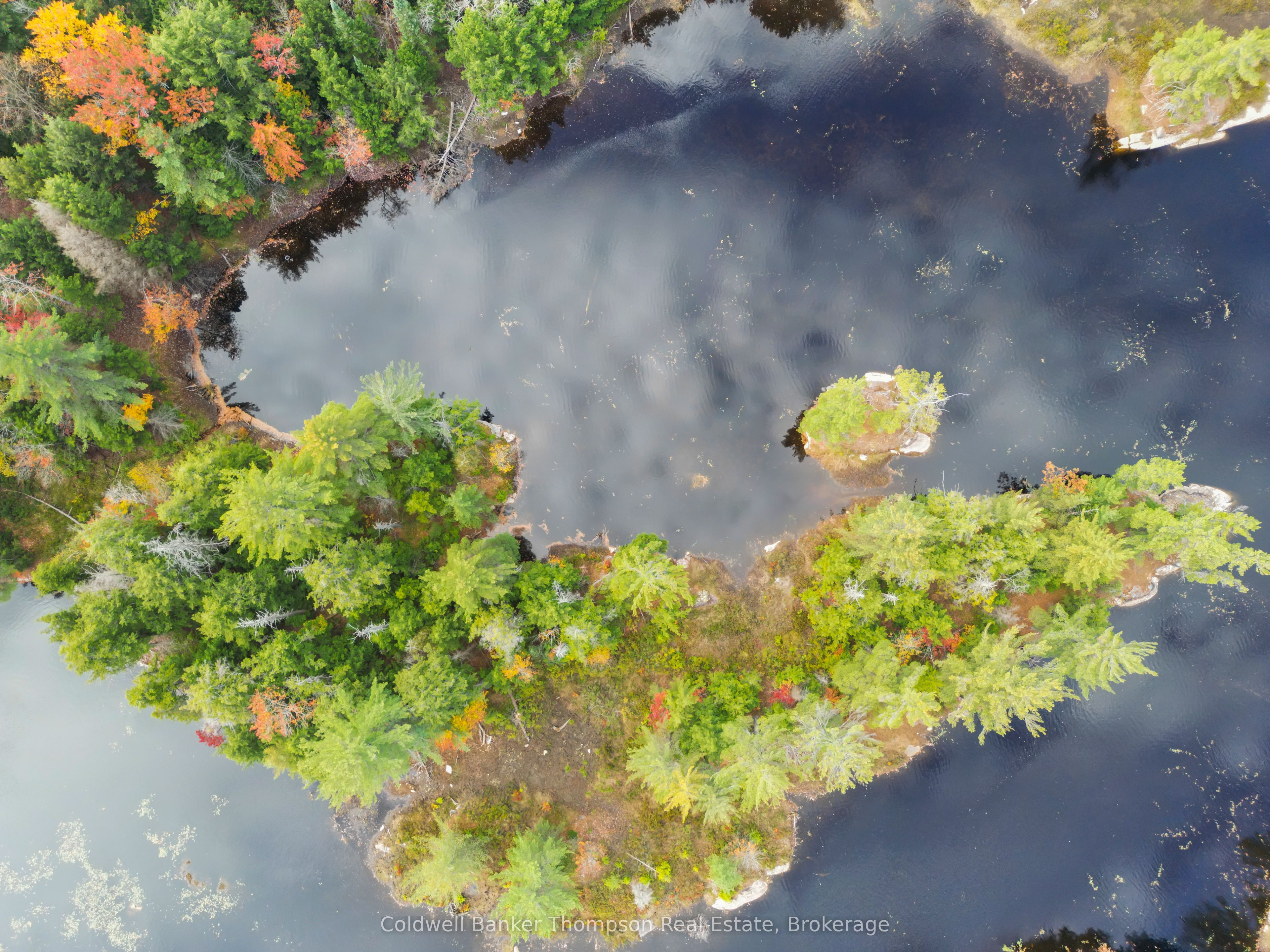 89 Lake Haven Dr Property Photo 14