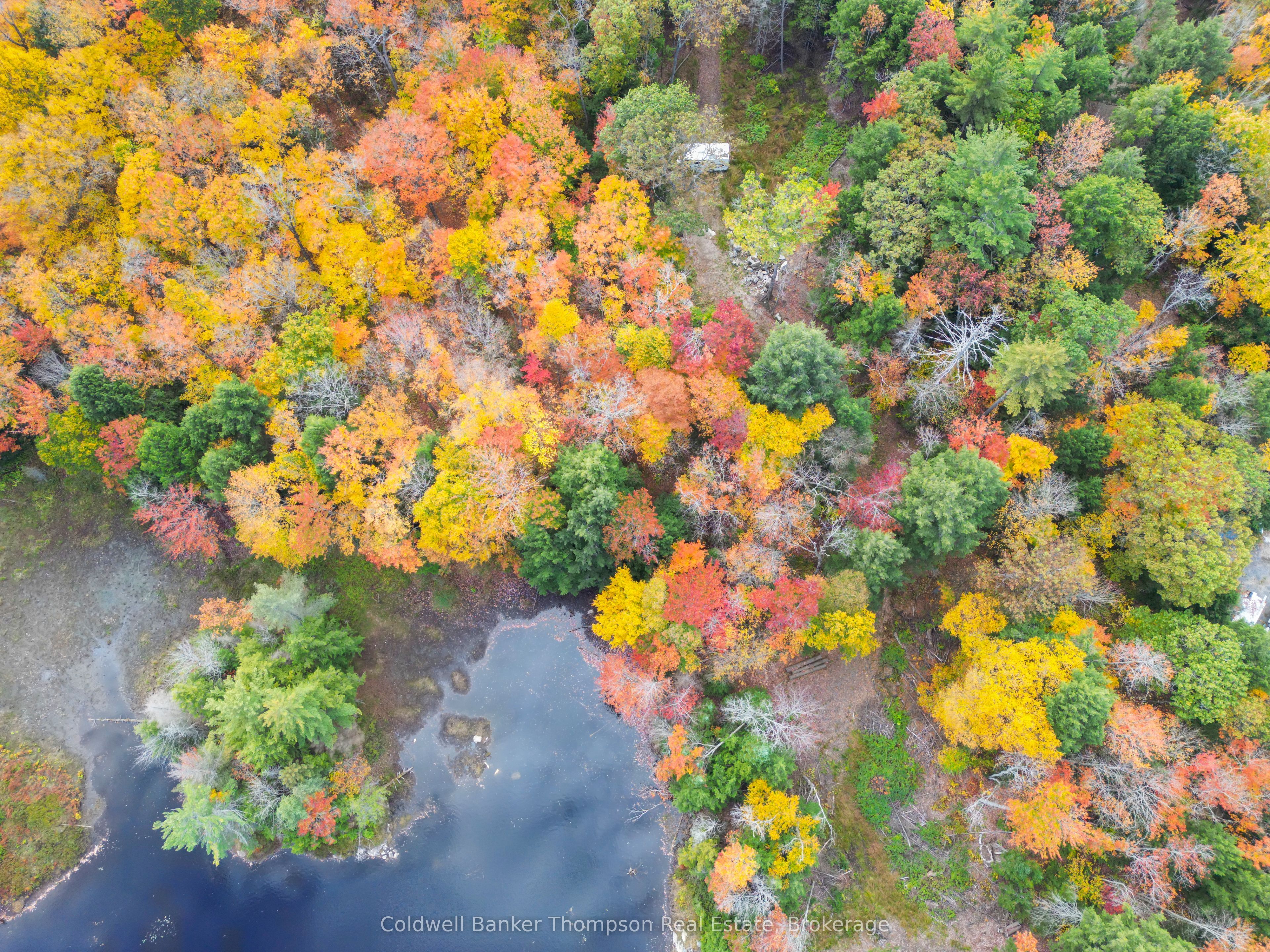 89 Lake Haven Dr Property Photo 16