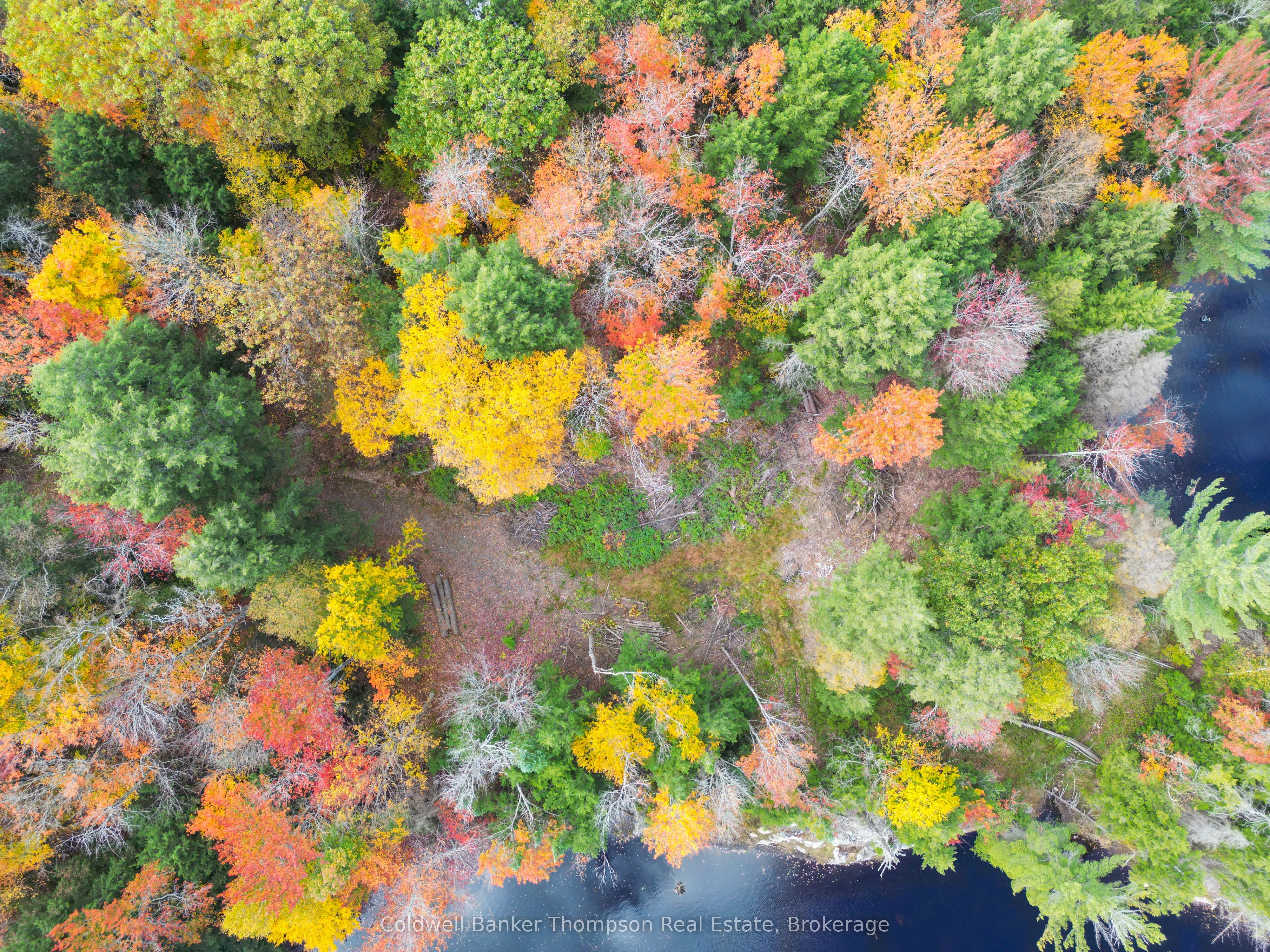 89 Lake Haven Dr Property Photo 17