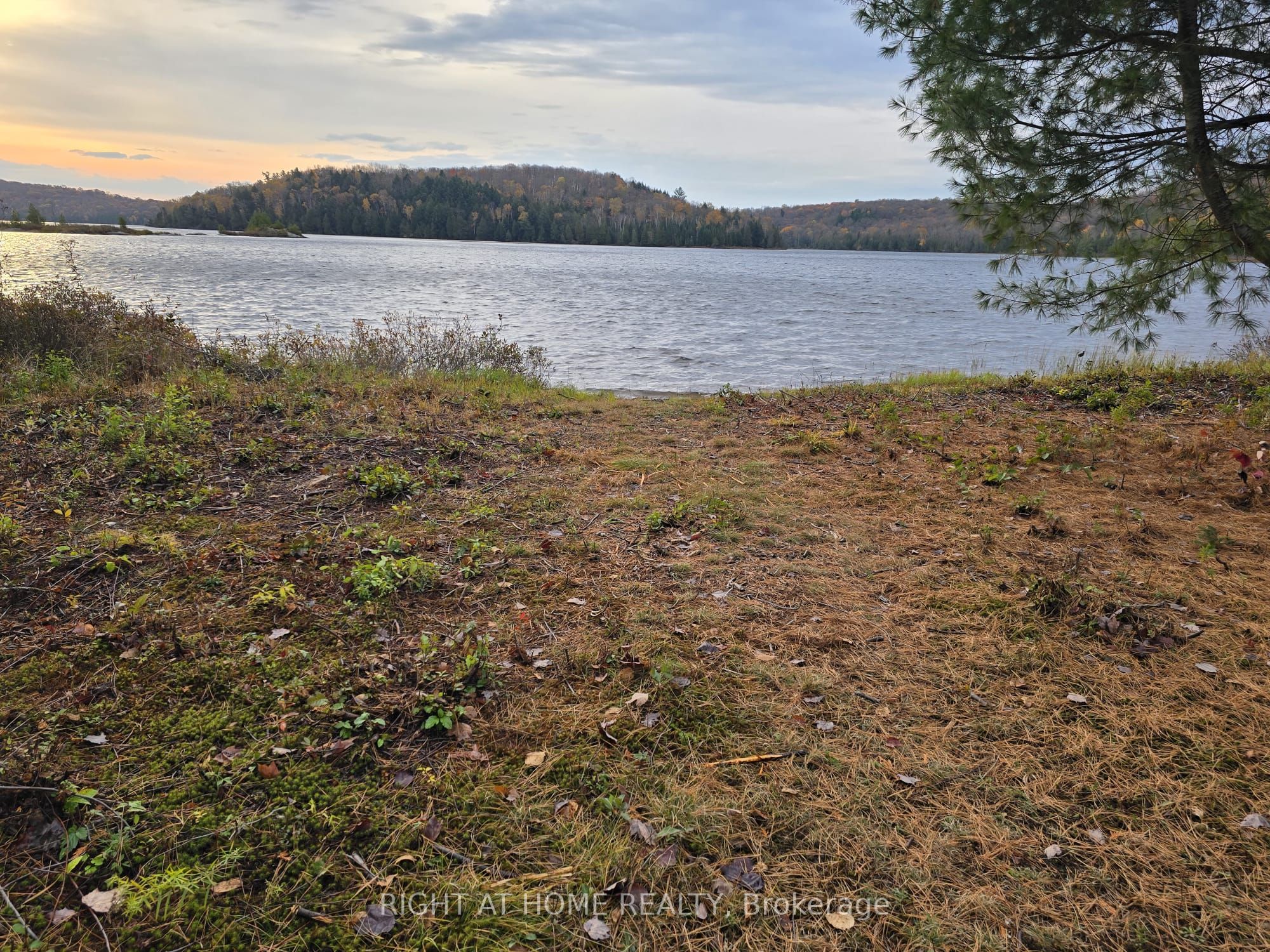 2503 Fern Glen Property Photo 3