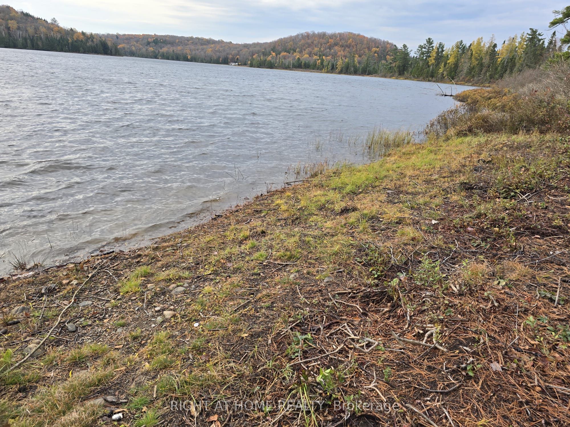 2503 Fern Glen Property Photo 4