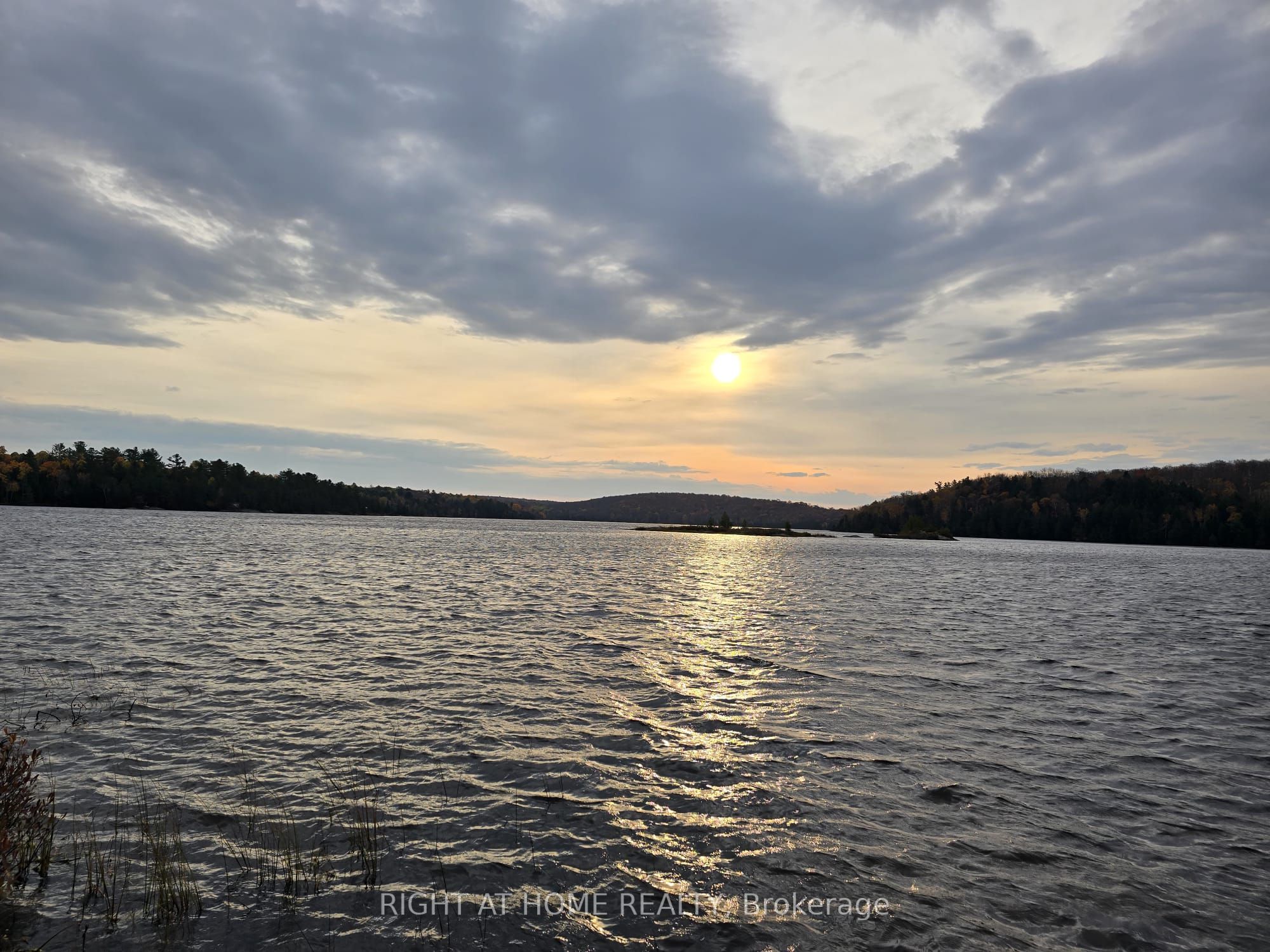 2503 Fern Glen Property Photo 5