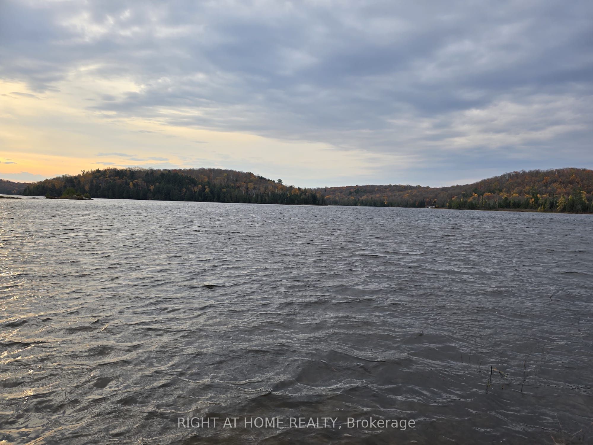 2503 Fern Glen Property Photo 6