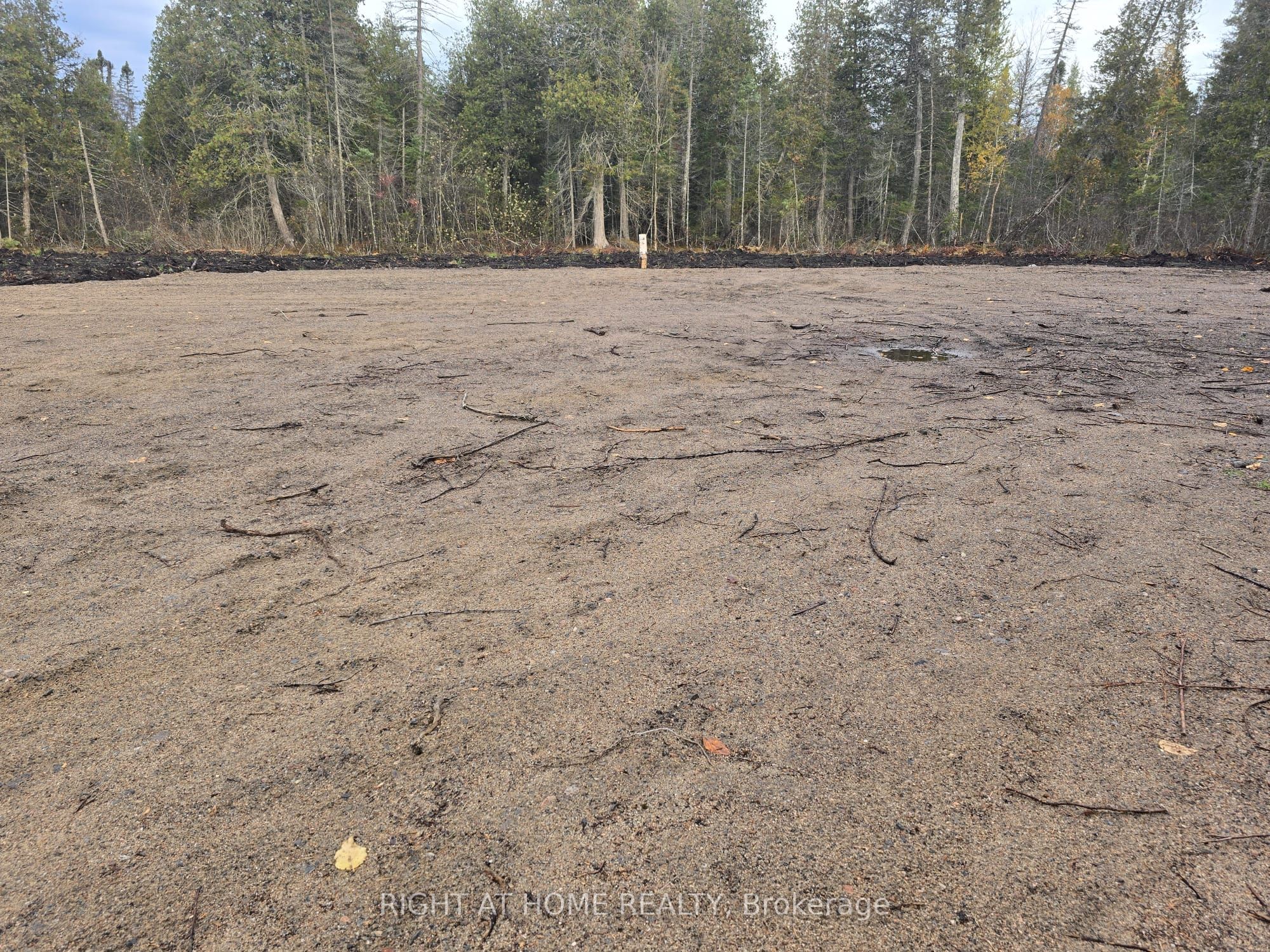 2503 Fern Glen Property Photo 13