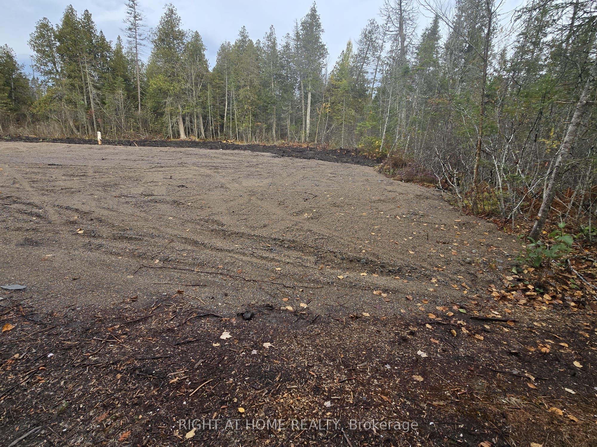 2503 Fern Glen Property Photo 14