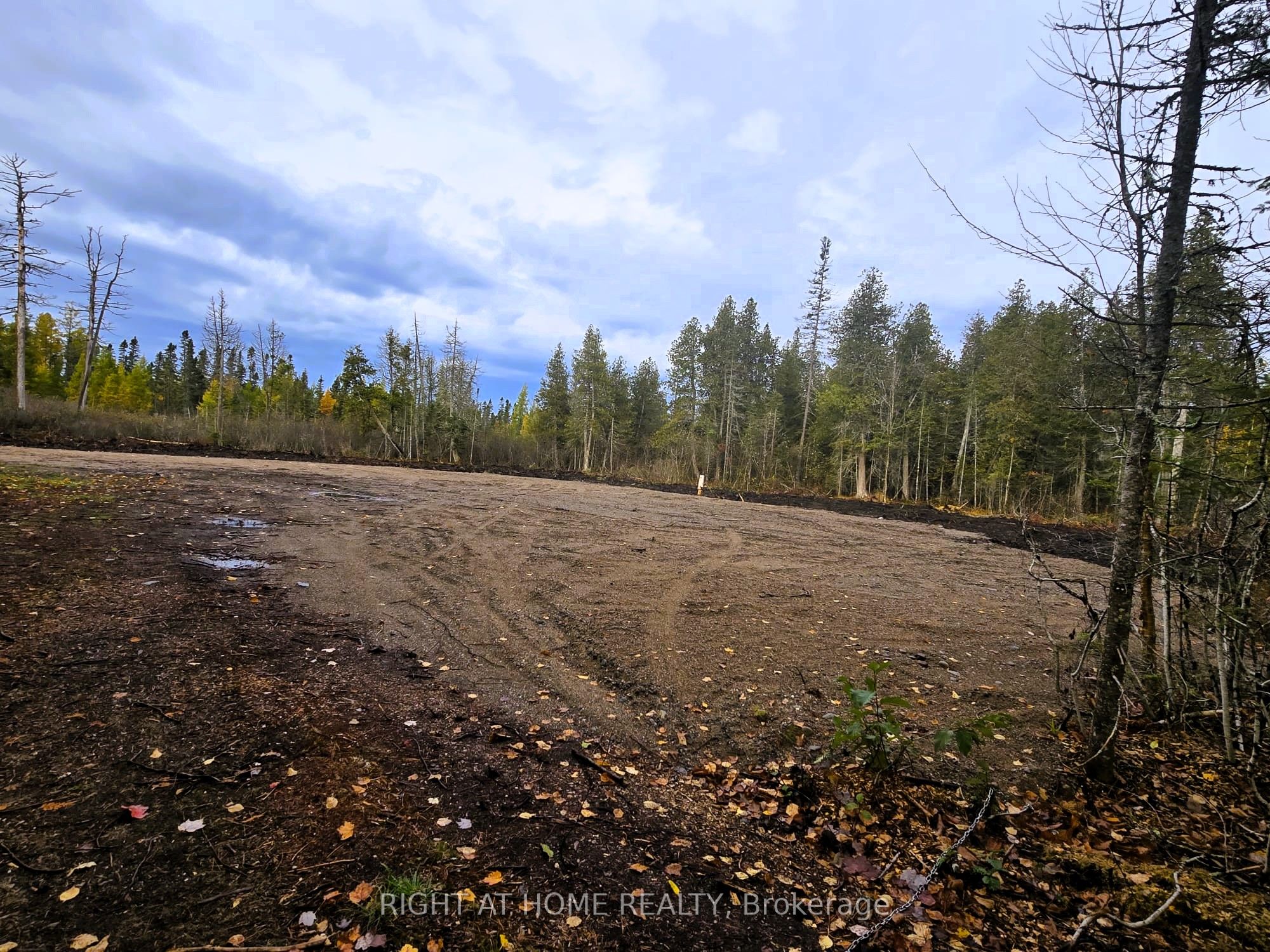 2503 Fern Glen Property Photo 15