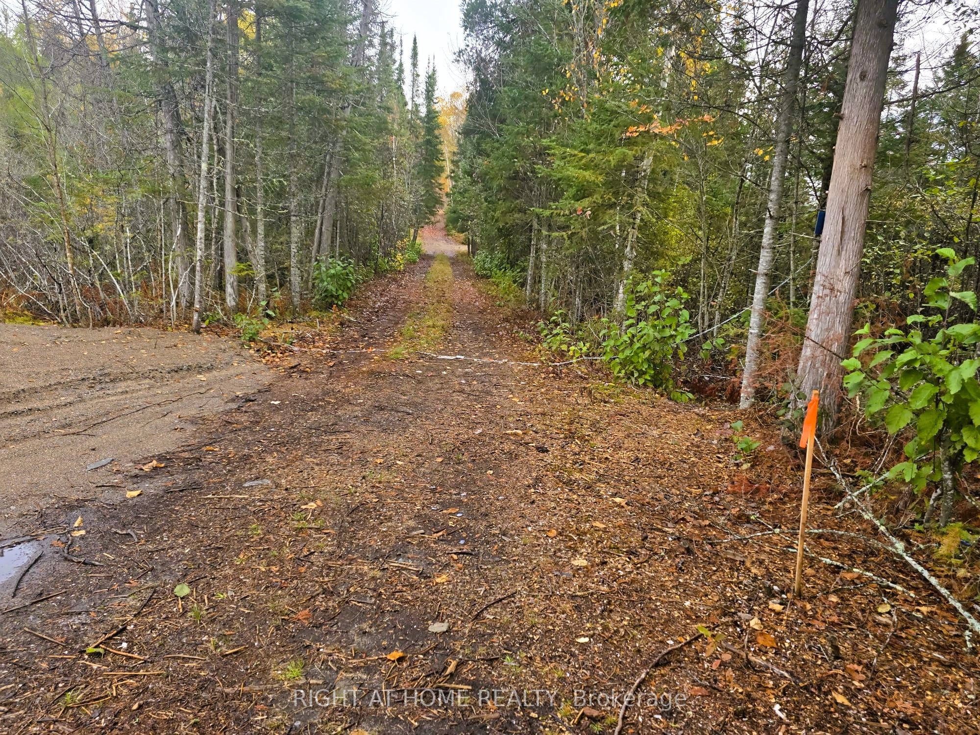 2503 Fern Glen Property Photo 17