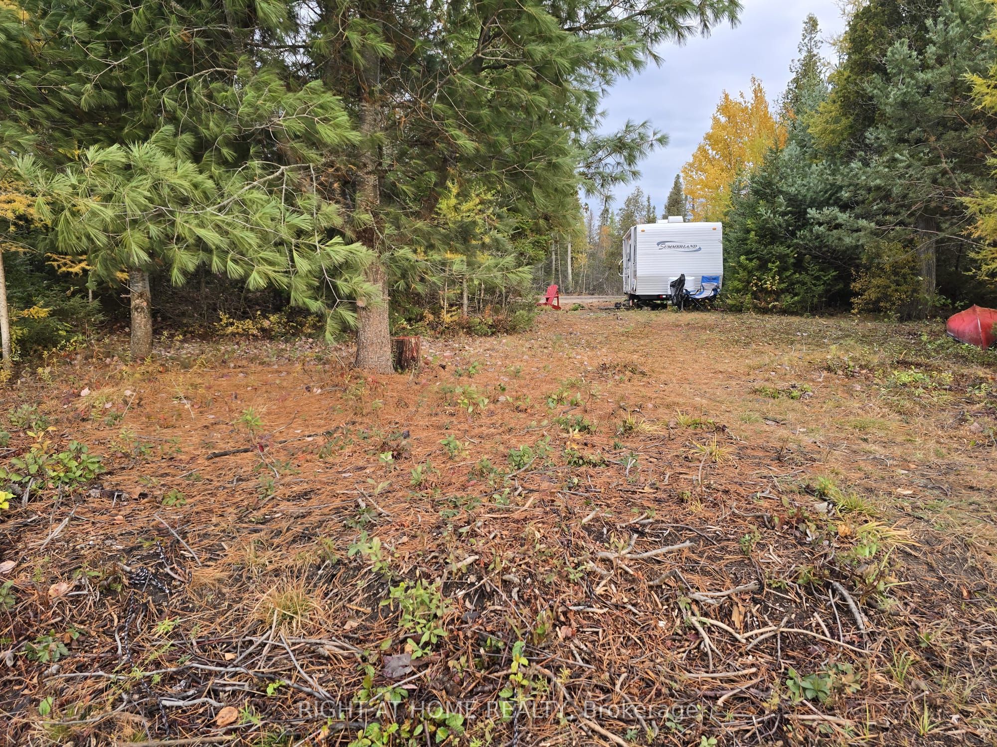 2503 Fern Glen Property Photo 18