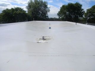 366 Crowland Avenue Property Photo 11