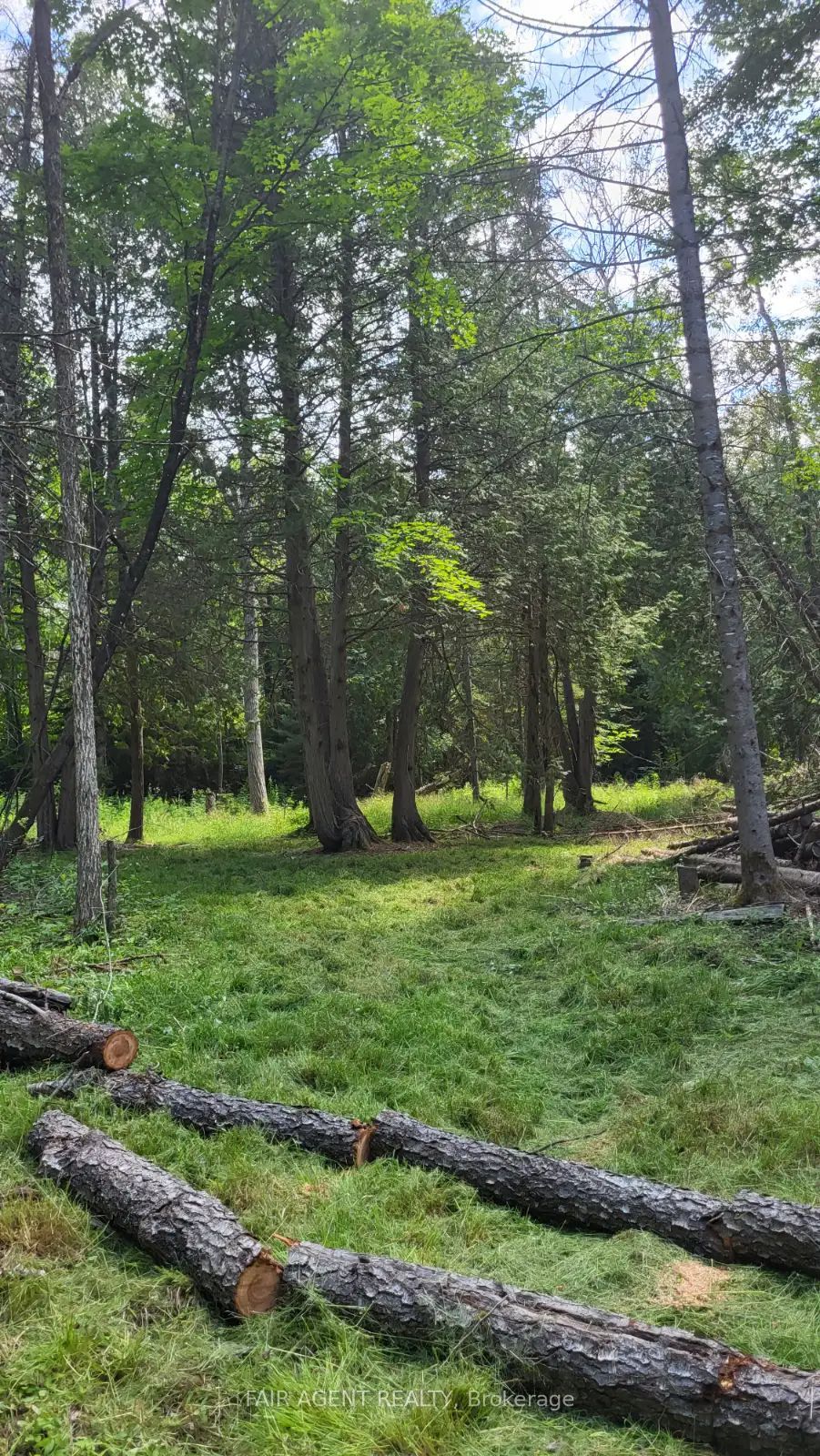 Lt16c10 County Rd 503 N/a Property Photo 5