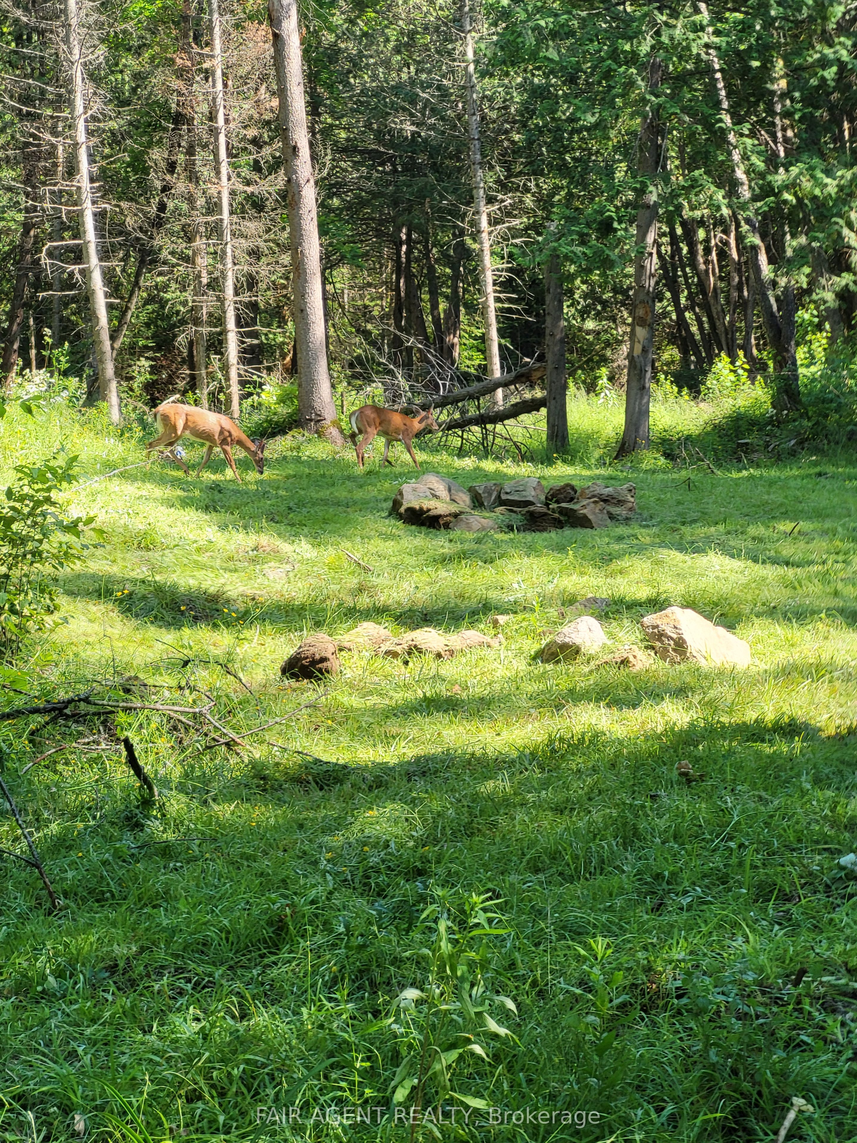 Lt16c10 County Rd 503 N/a Property Photo 10