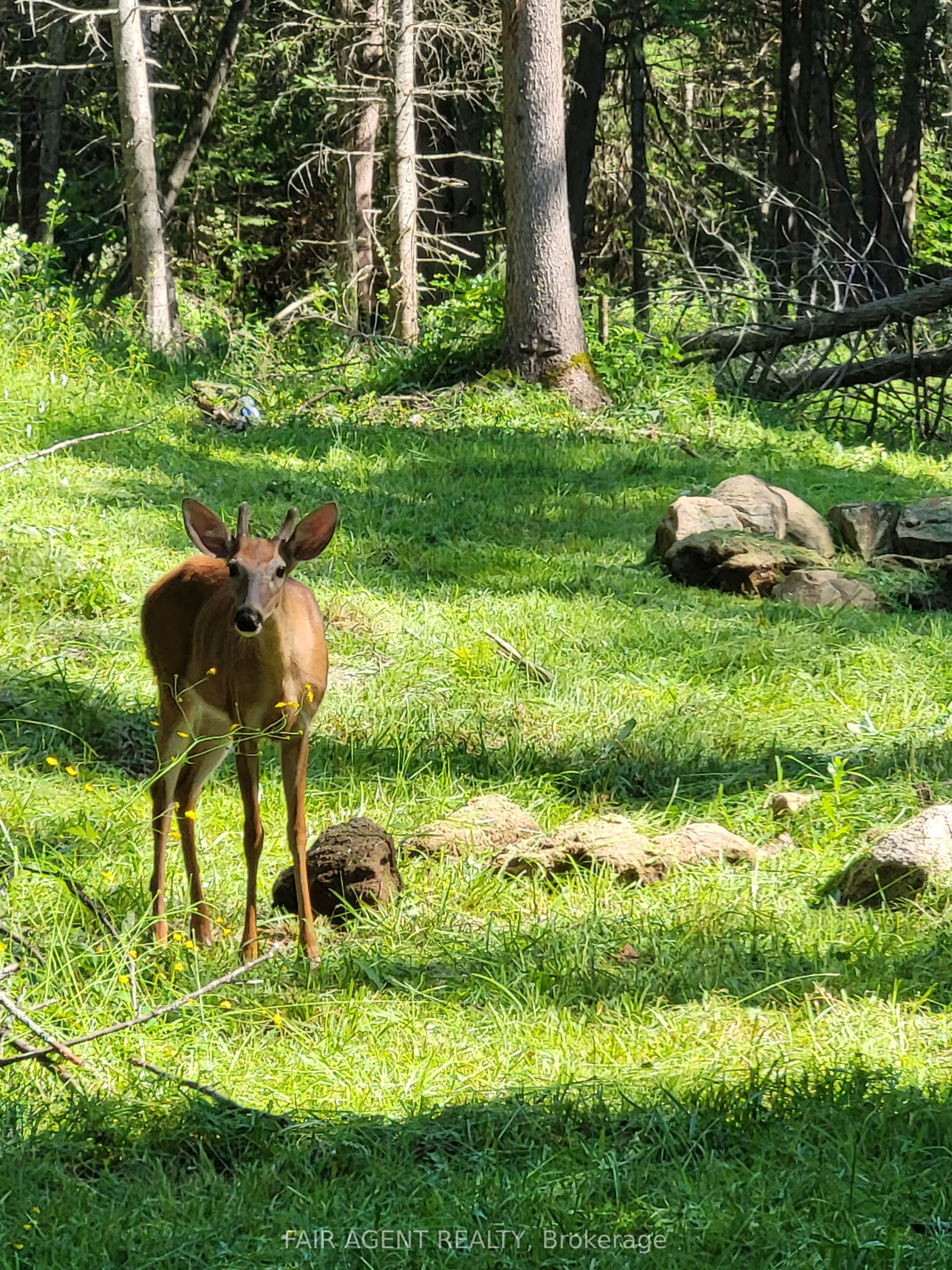 Lt16c10 County Rd 503 N/a Property Photo 11