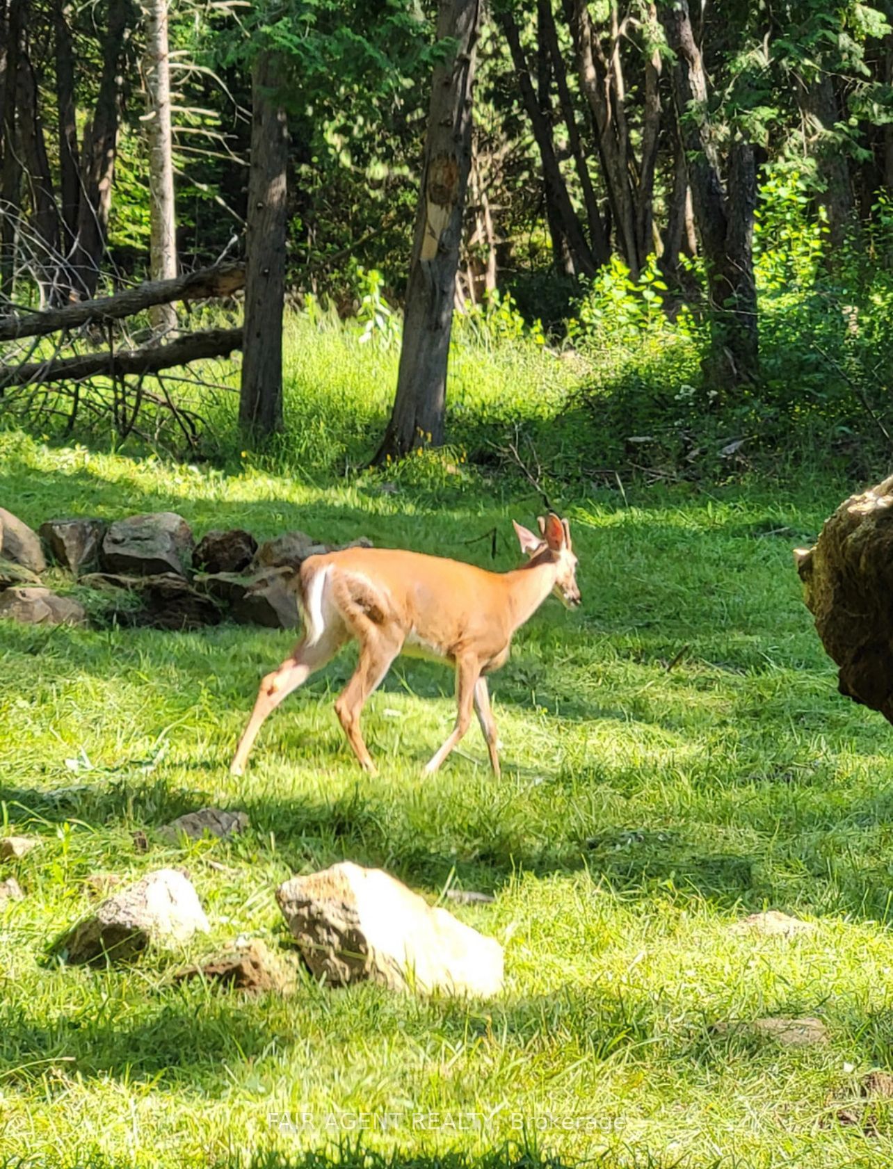 Lt16c10 County Rd 503 N/a Property Photo 12