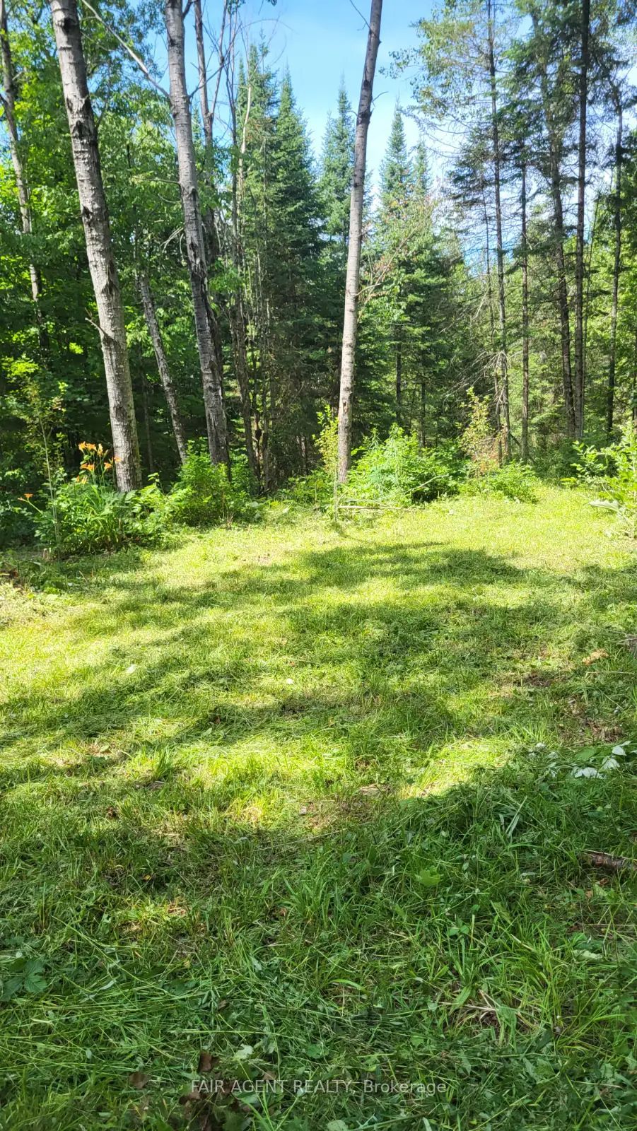 Lt16c10 County Rd 503 N/a Property Photo 13