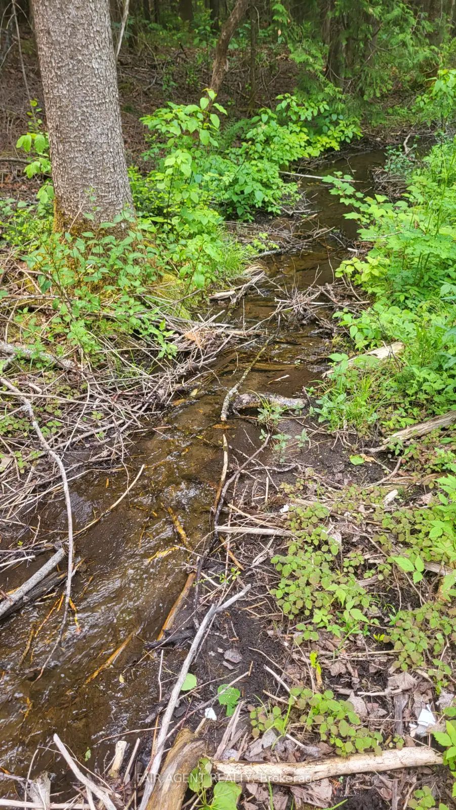 Lt16c10 County Rd 503 N/a Property Photo 14