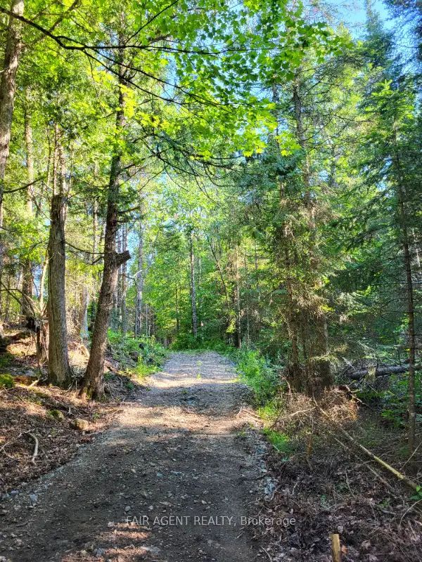 Lt16c10 County Rd 503 N/a Property Photo 15