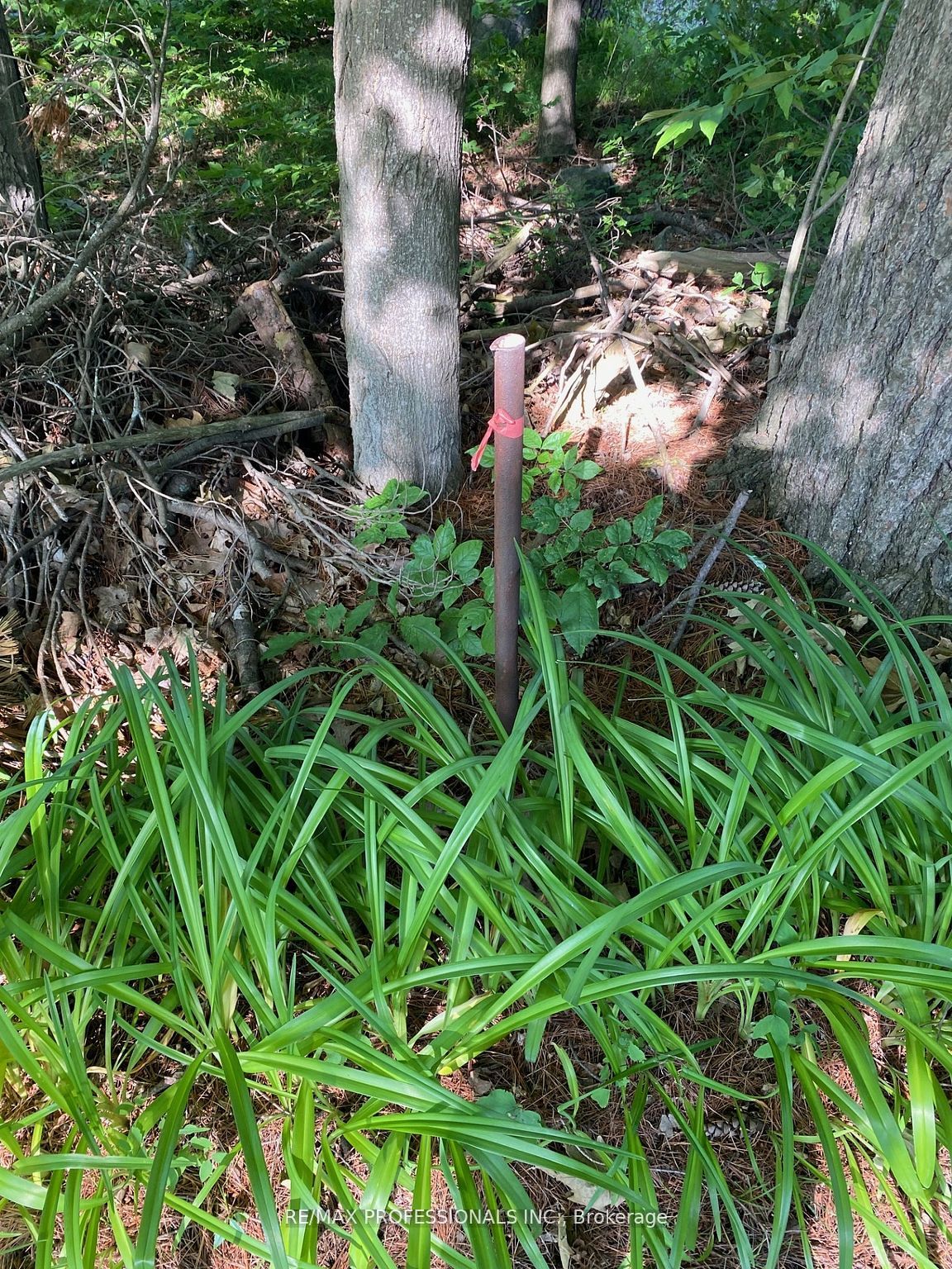 0 11th Line E Property Photo 4