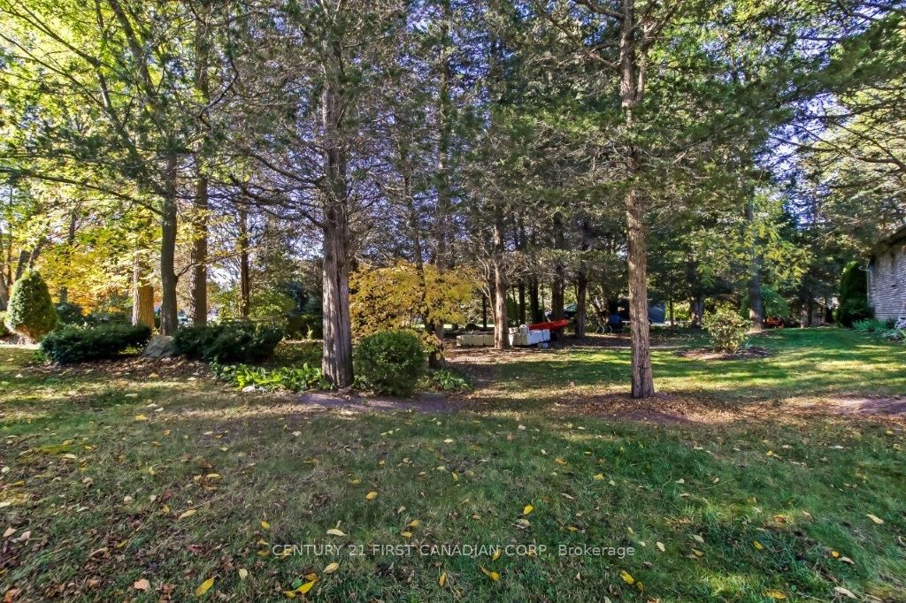 10137 Merrywood Drive Property Photo 4