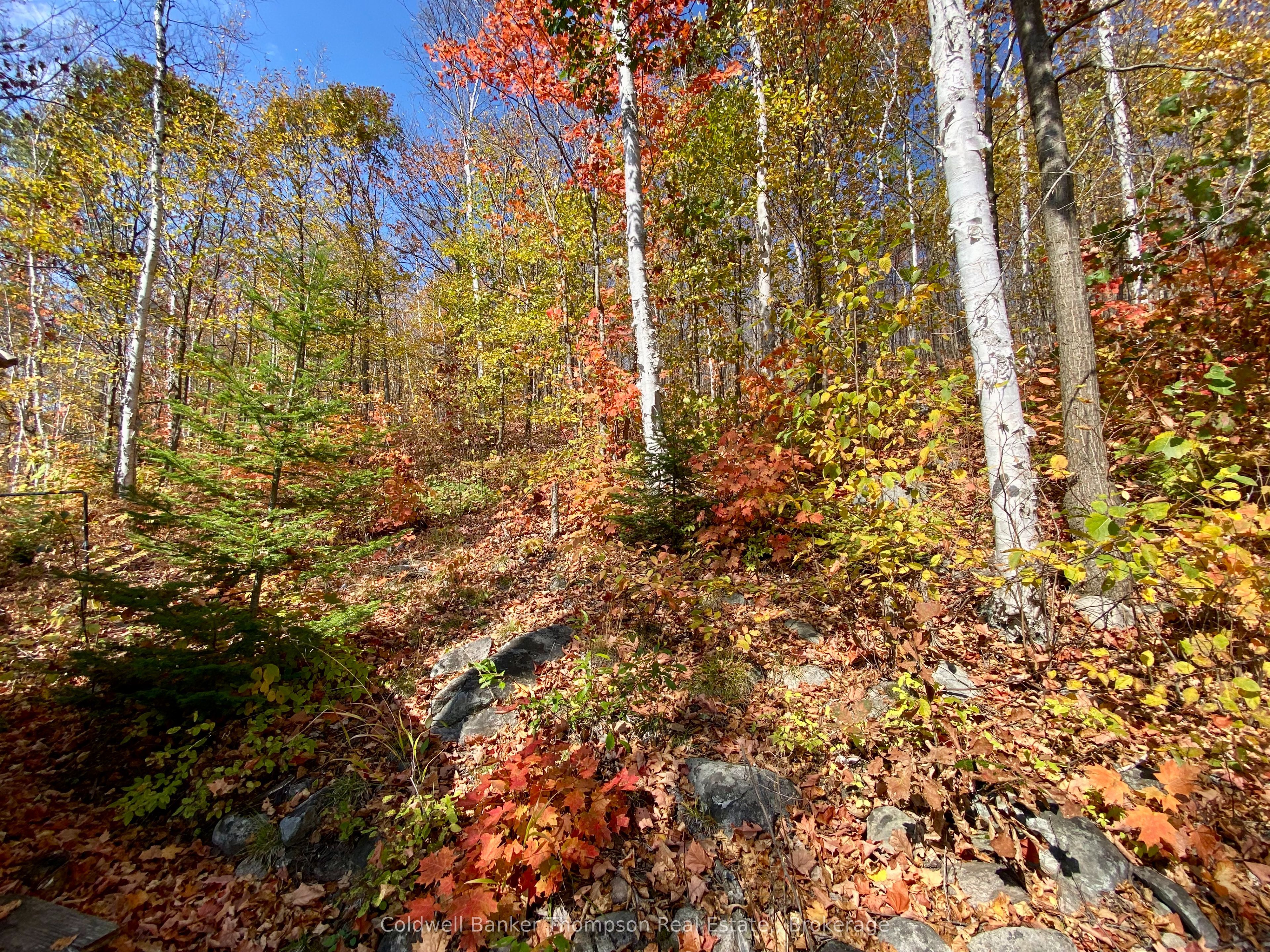 0 Little Long Lake S Property Photo 17