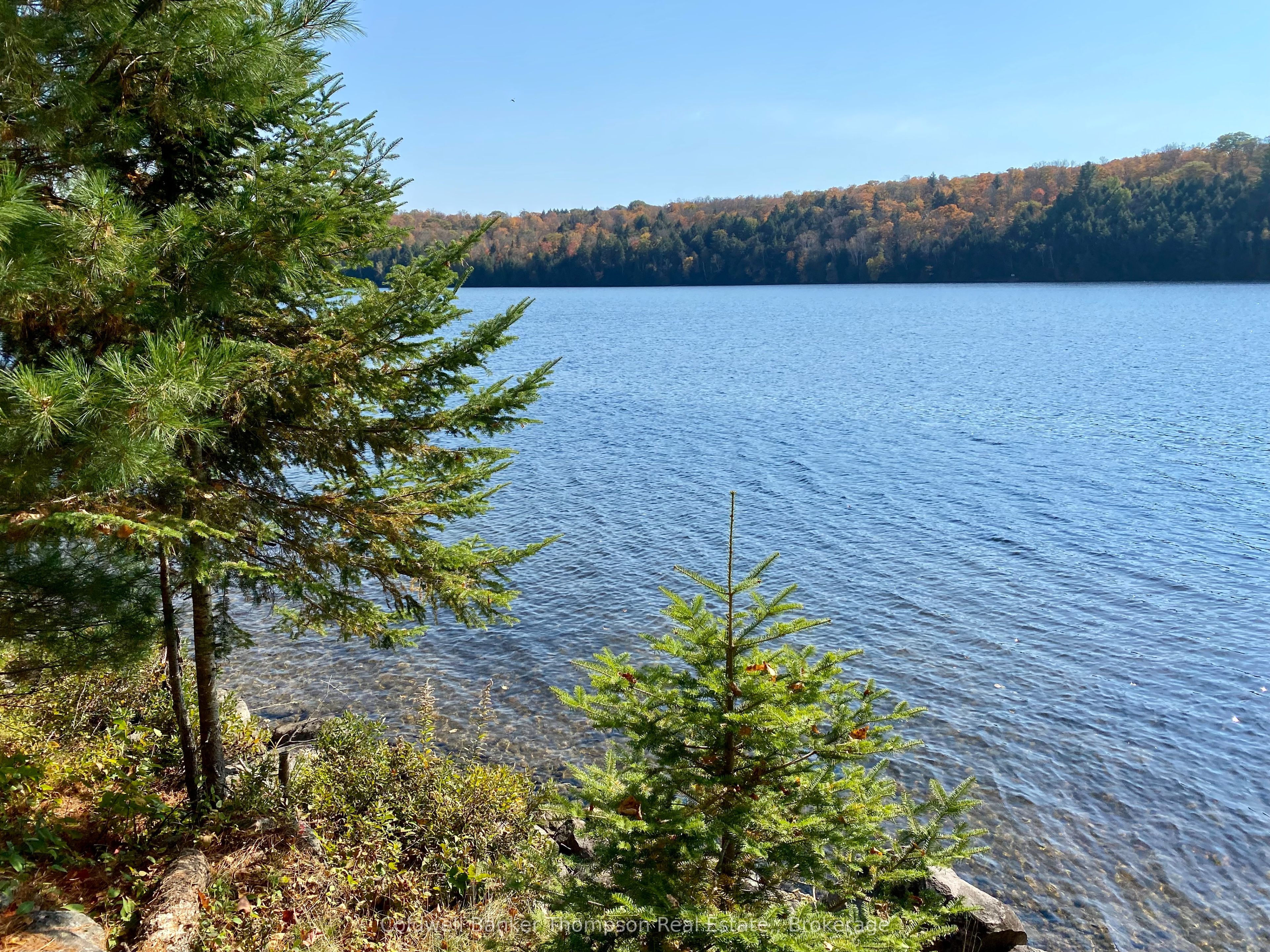 0 Little Long Lake S Property Photo 19