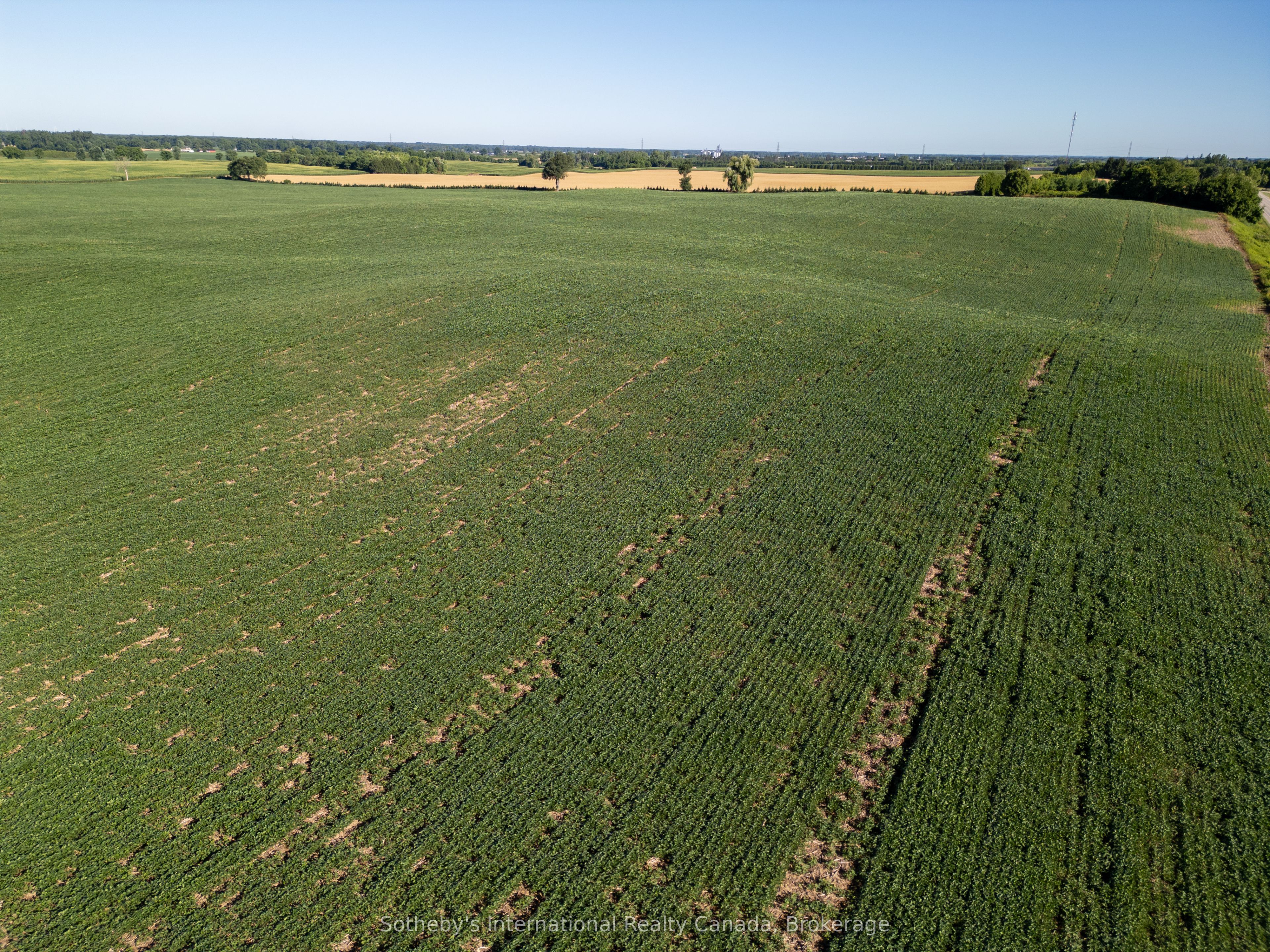 117 Bishopsgate Road Property Photo 7