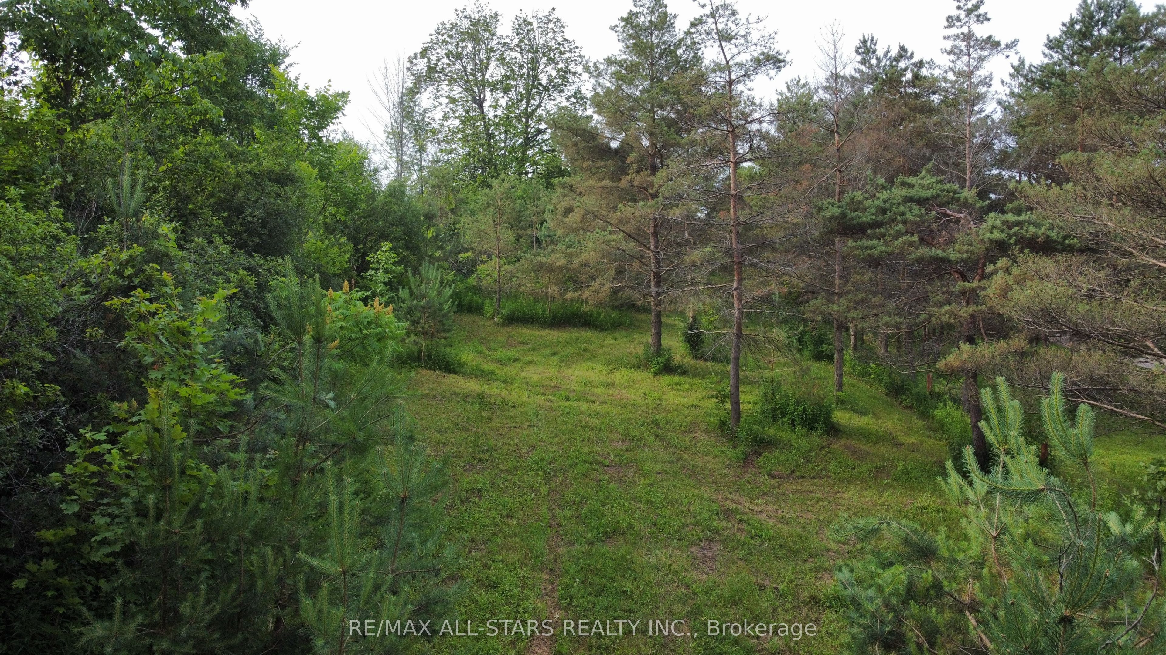 283 Bland Line Property Photo 2