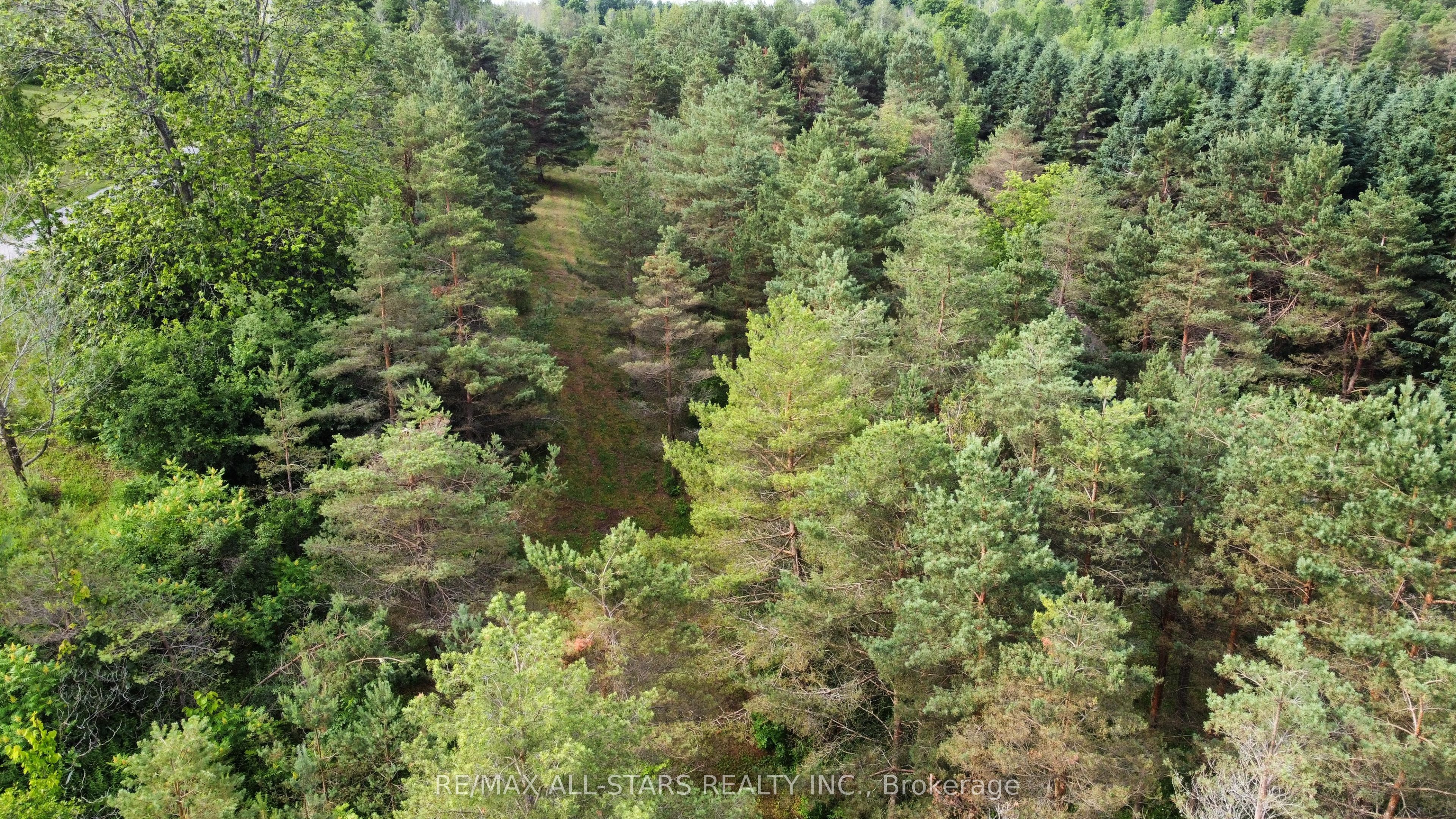 283 Bland Line Property Photo 3