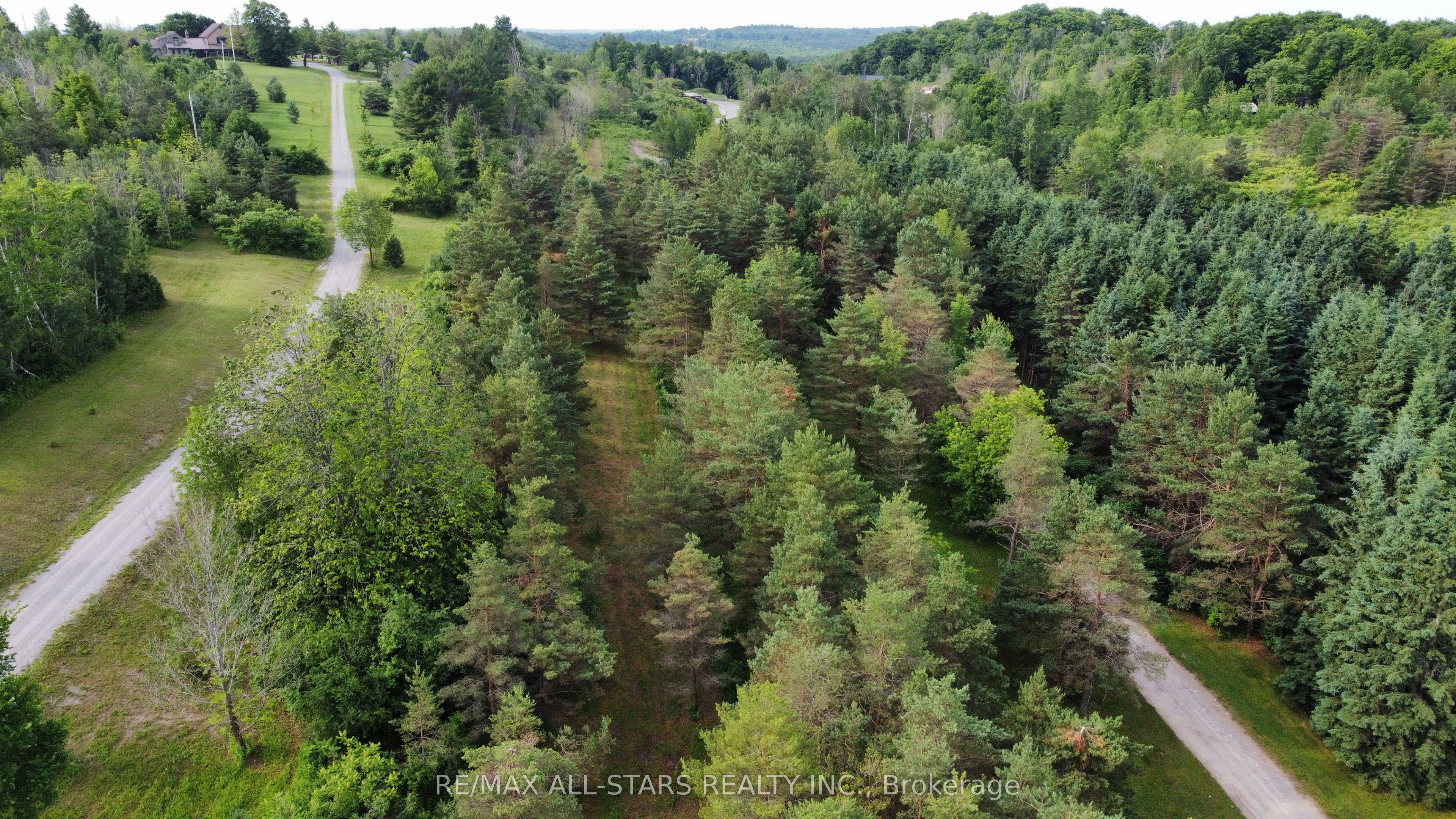 283 Bland Line Property Photo 4