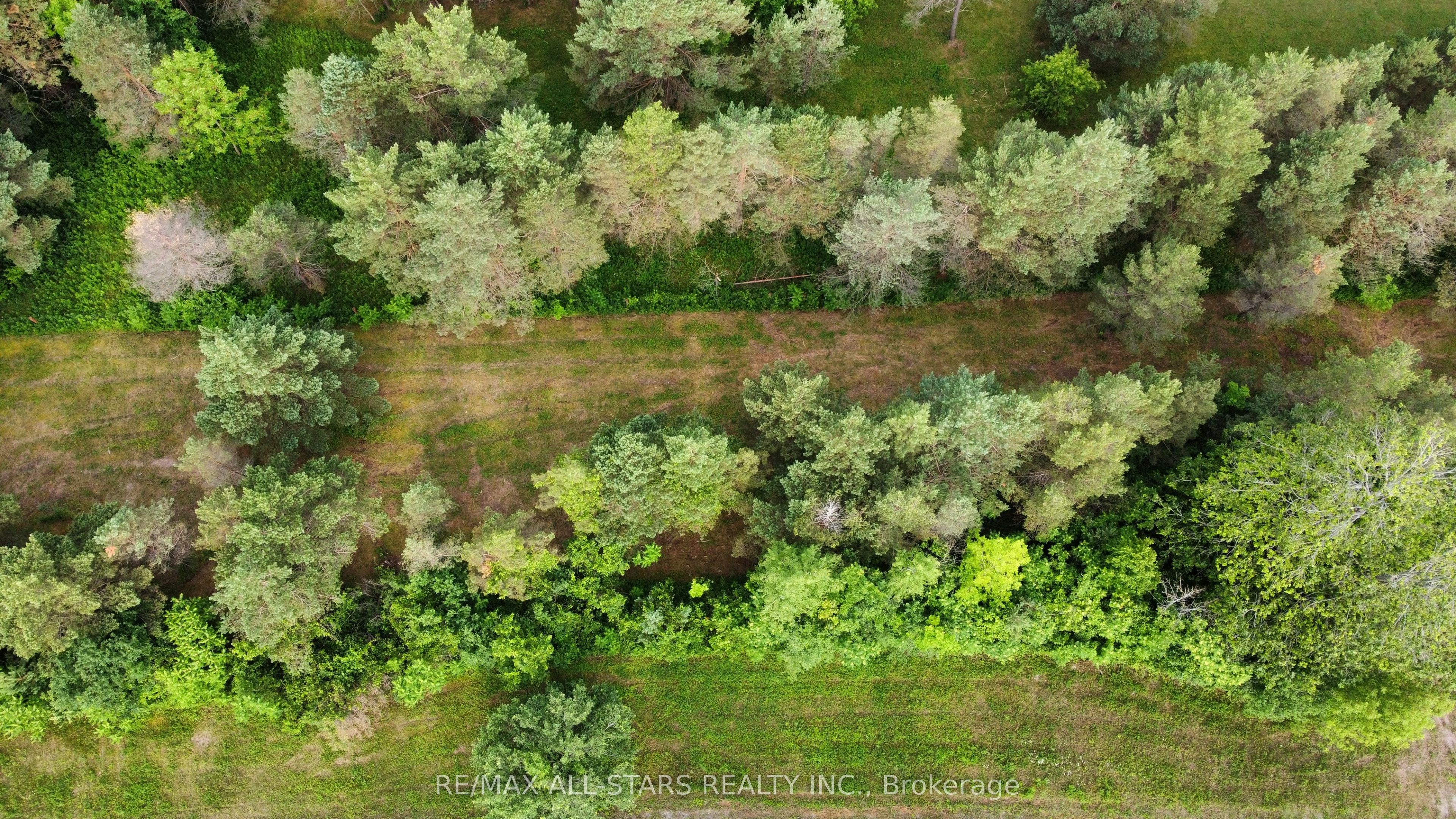 283 Bland Line Property Photo 6