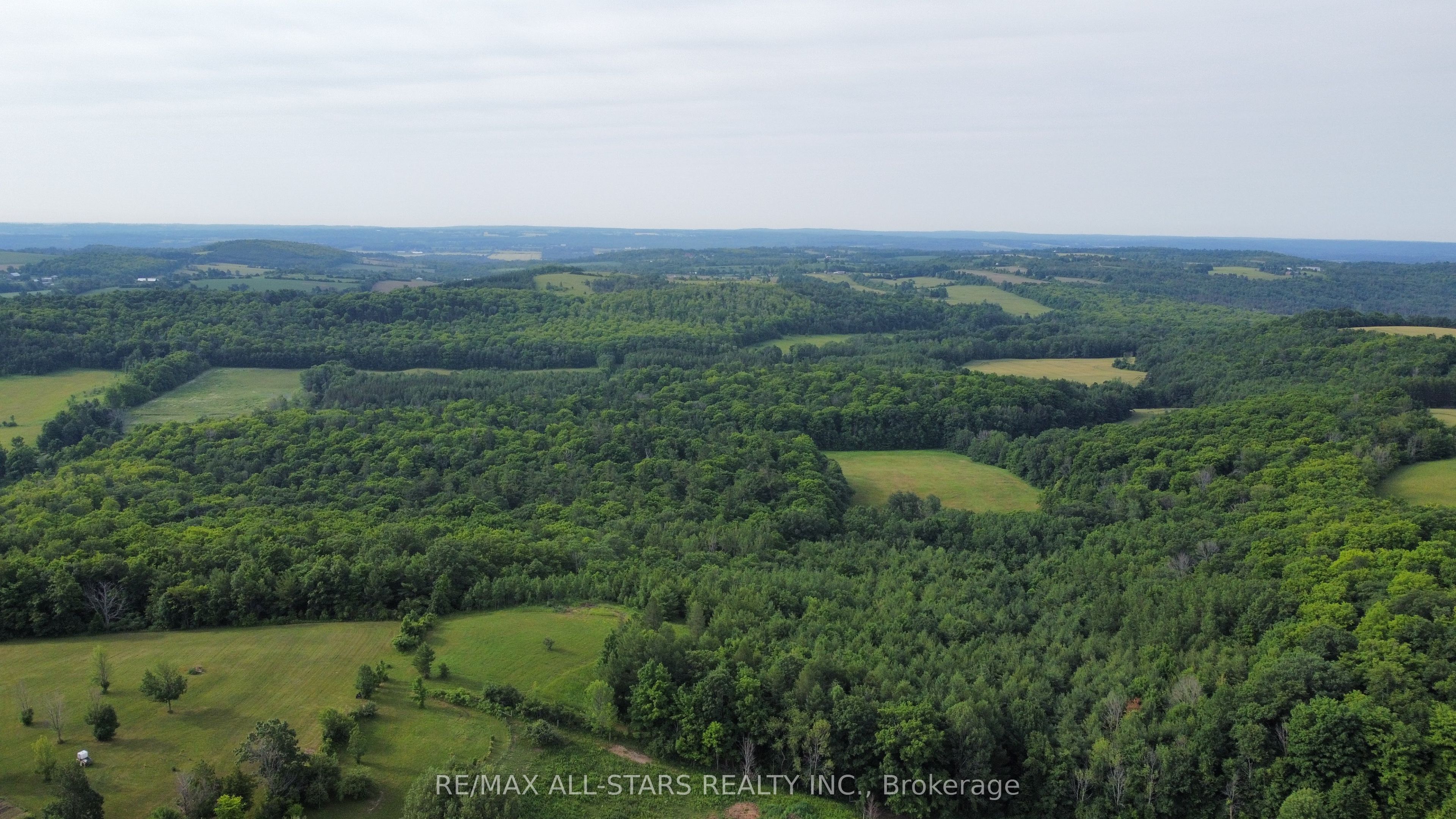 283 Bland Line Property Photo 7