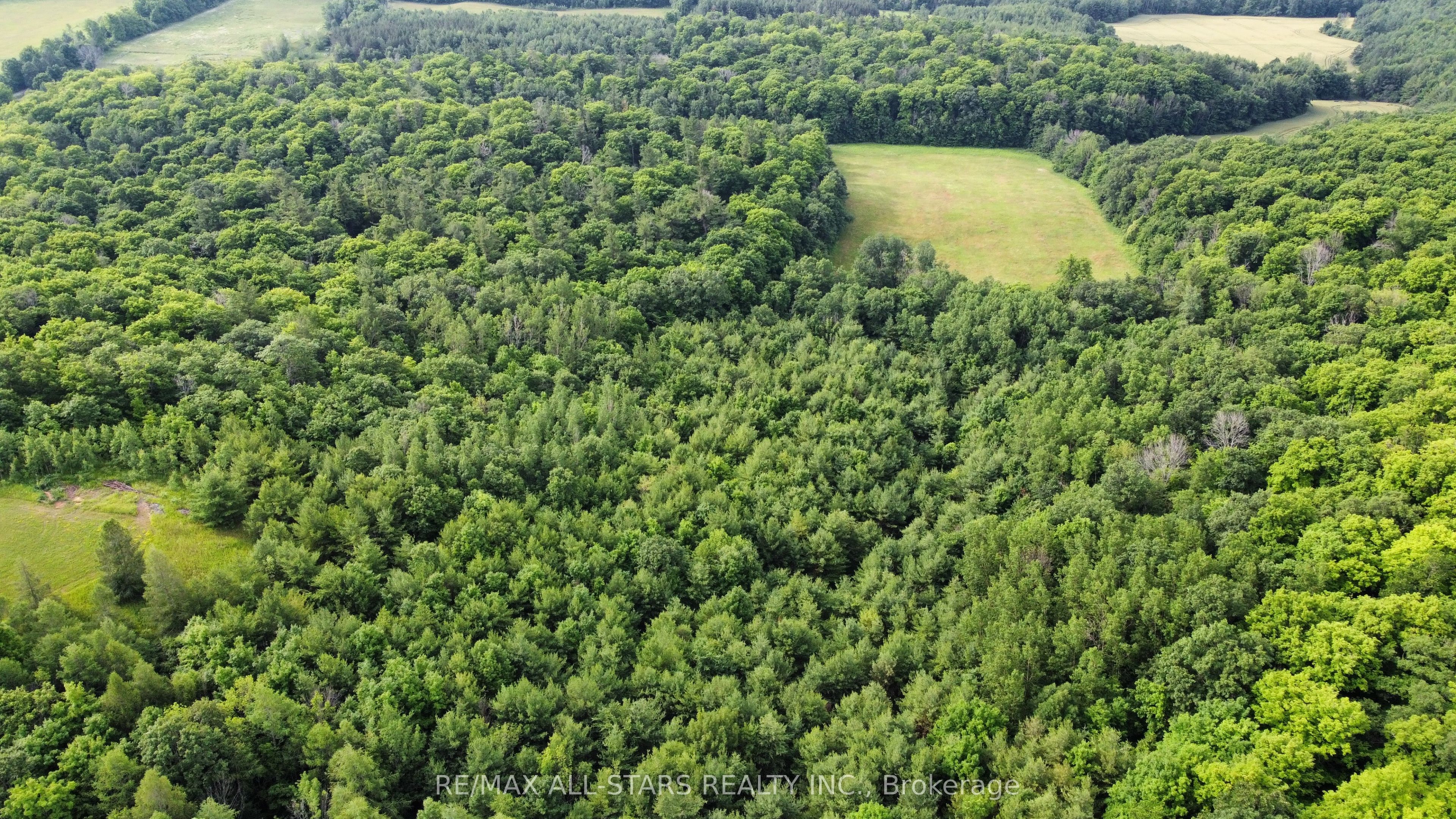 283 Bland Line Property Photo 8