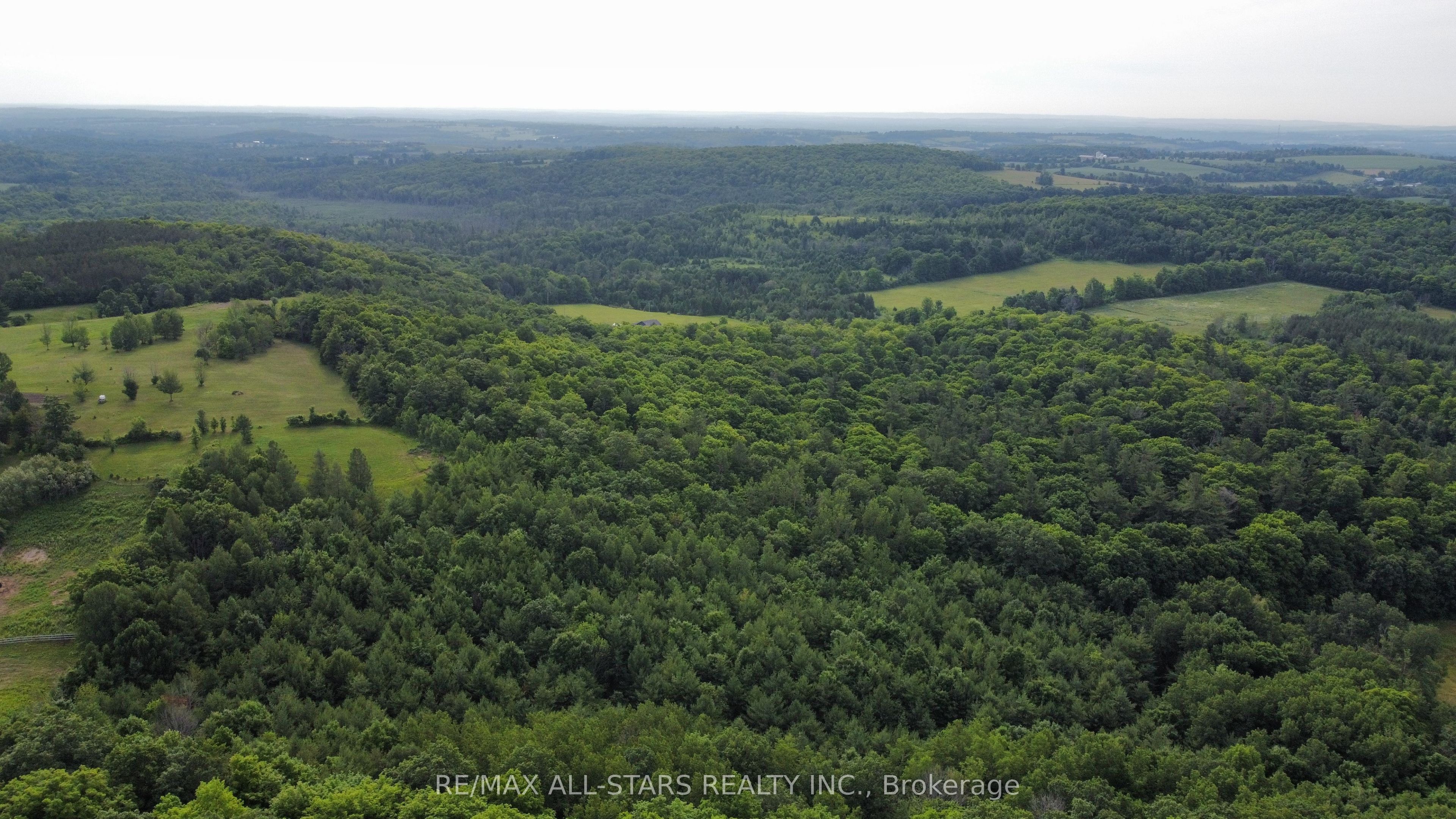 283 Bland Line Property Photo 9