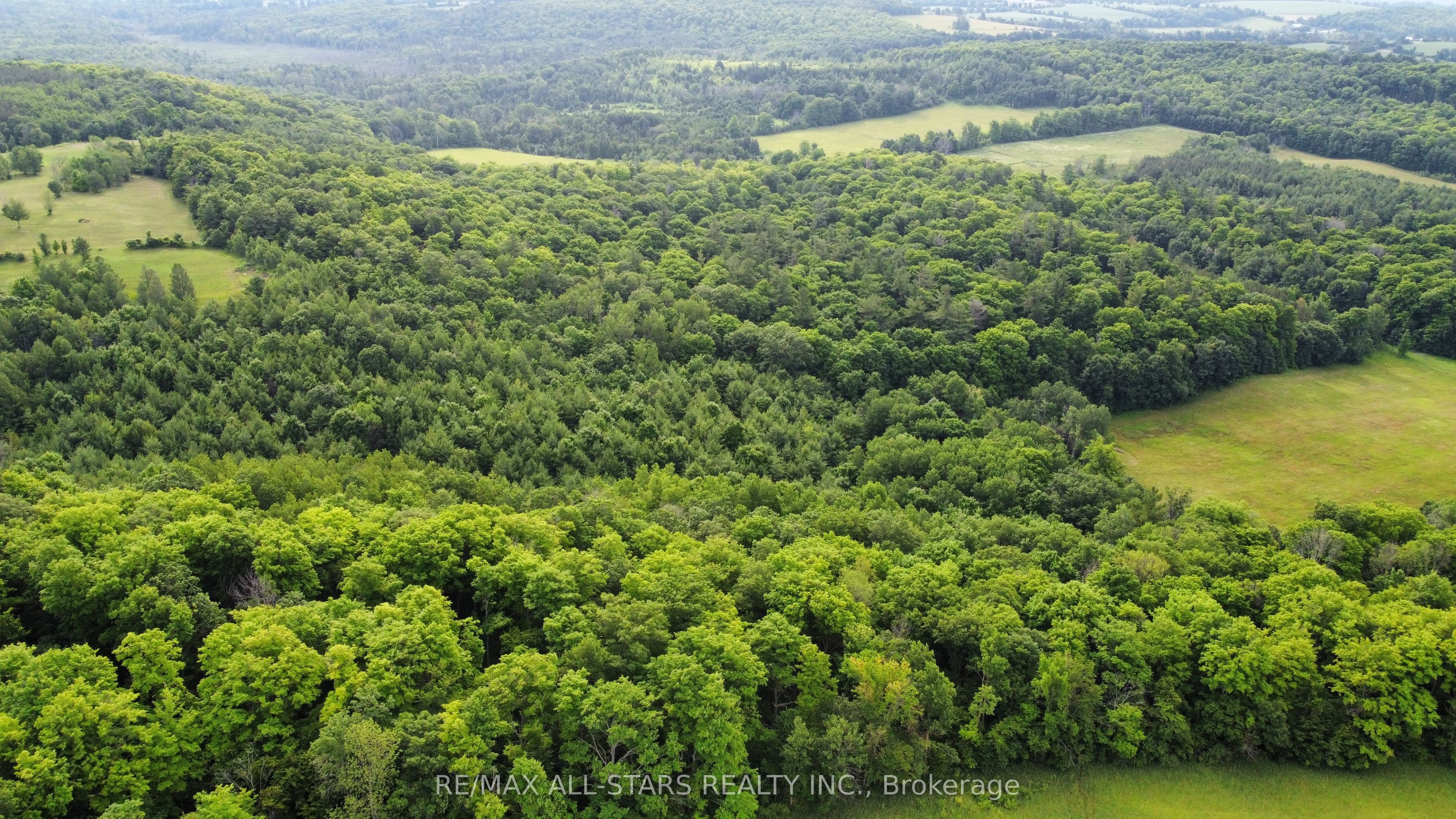 283 Bland Line Property Photo 10